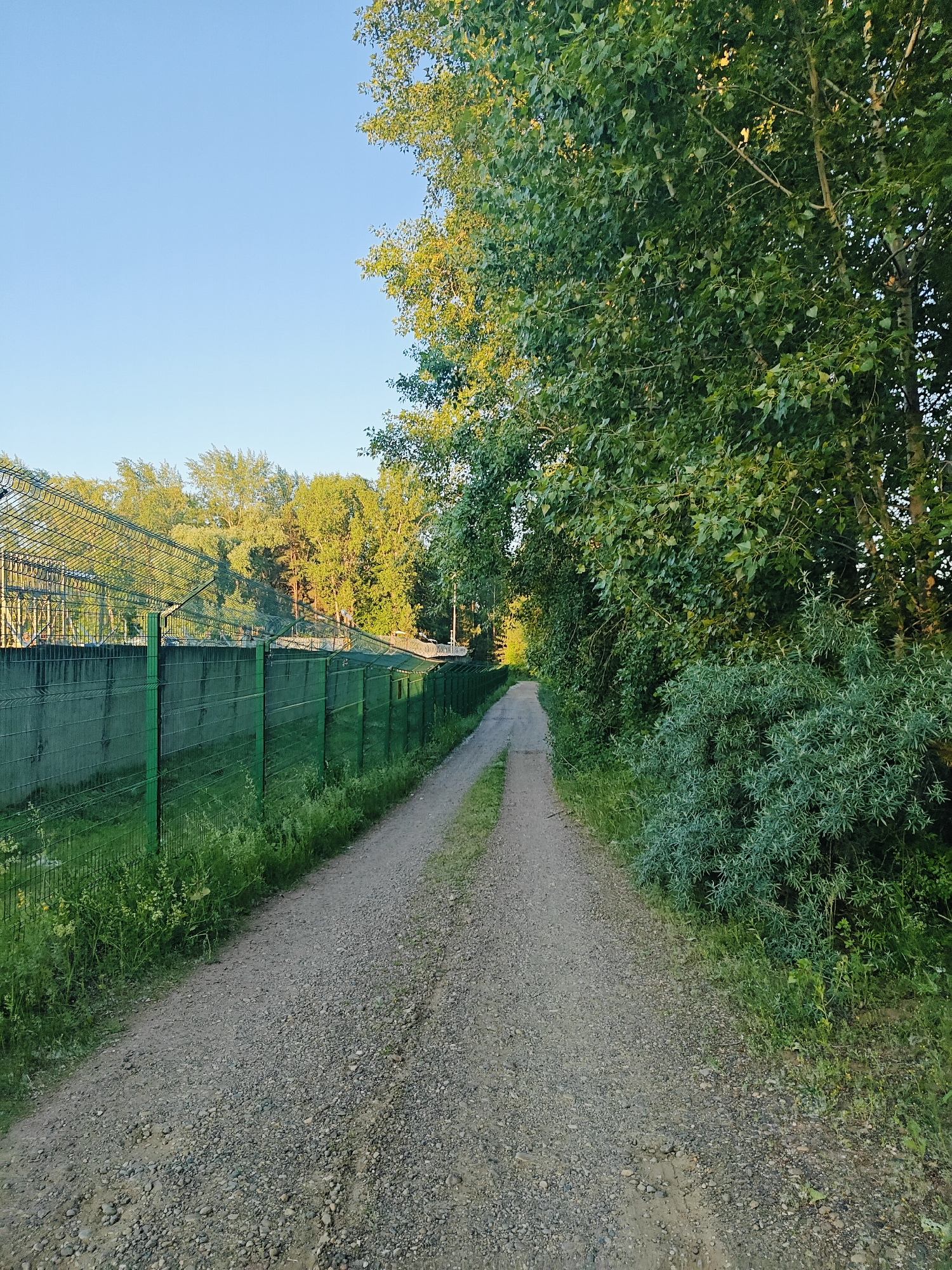 A gravel path leads into the distance, flanked on the left by a tall green fence topped with barbed wire and on the right by lush green trees and bushes. The sky above is clear and pale blue, with the sun illuminating the upper branches of the trees, casting a warm glow. The fence appears to be a security perimeter, possibly surrounding a facility or industrial area. The path is slightly worn, indicating it is used regularly. The overall impression is one of a serene, natural setting bordering a structured, possibly restricted, zone. The location is the city of Chaikovsky, Russia.