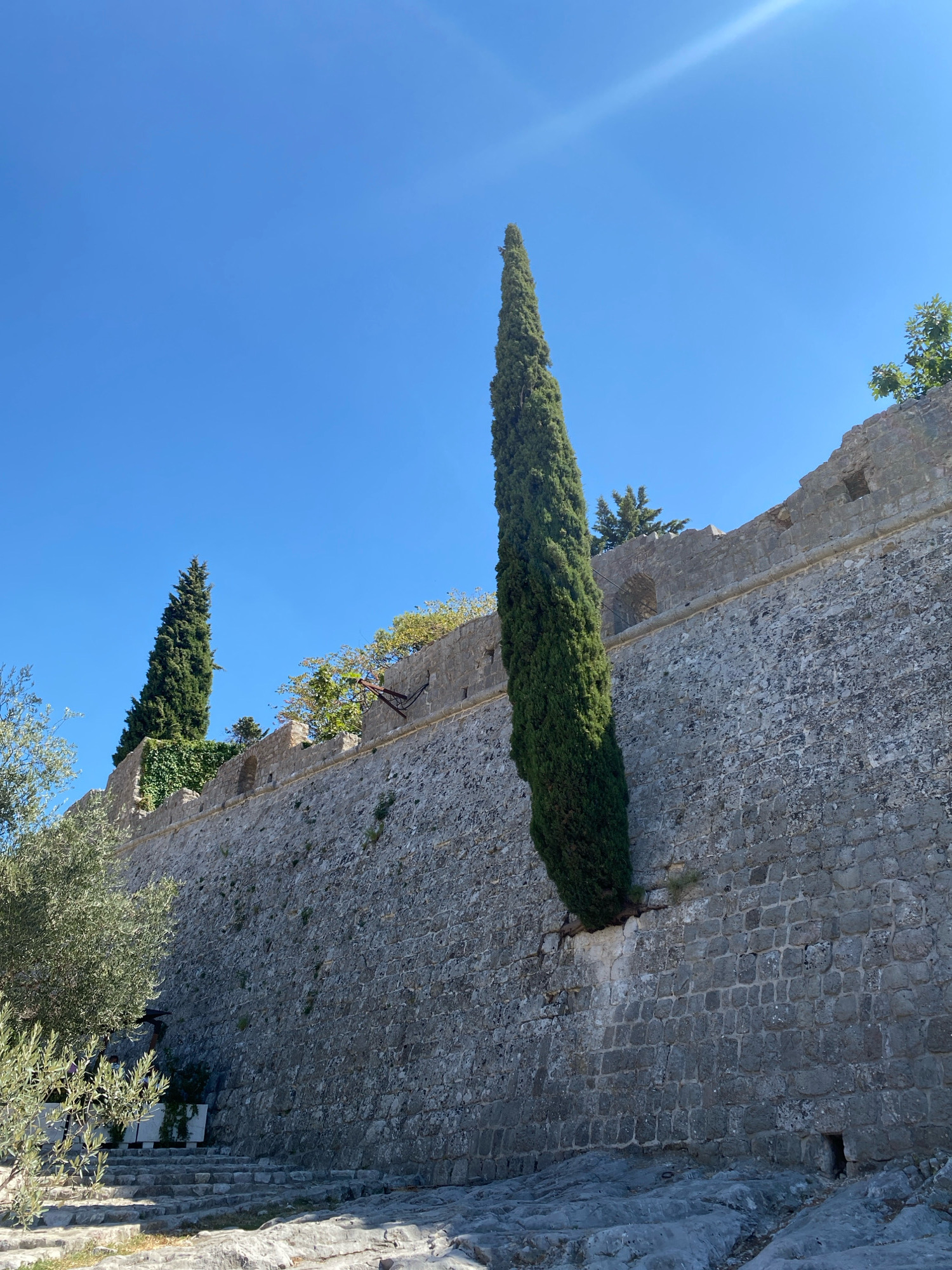 The image shows a tall, slender cypress tree growing alongside a weathered stone wall in the ancient city of Stari Bar, Montenegro. The wall, constructed from irregular grey stones, appears to be part of a fortification or historical structure. Small openings or niches are visible along the top of the wall, and some sections show signs of decay and overgrowth with ivy. The cypress tree is a vibrant green, contrasting with the muted tones of the stonework. In the foreground, there are rough-hewn stone steps leading upwards, and to the left, the branches of an olive tree are partially visible, suggesting a Mediterranean setting. The sky is a clear, bright blue with a prominent sunbeam streaking across the upper right portion of the frame, indicating a sunny day. No people are present in the scene.