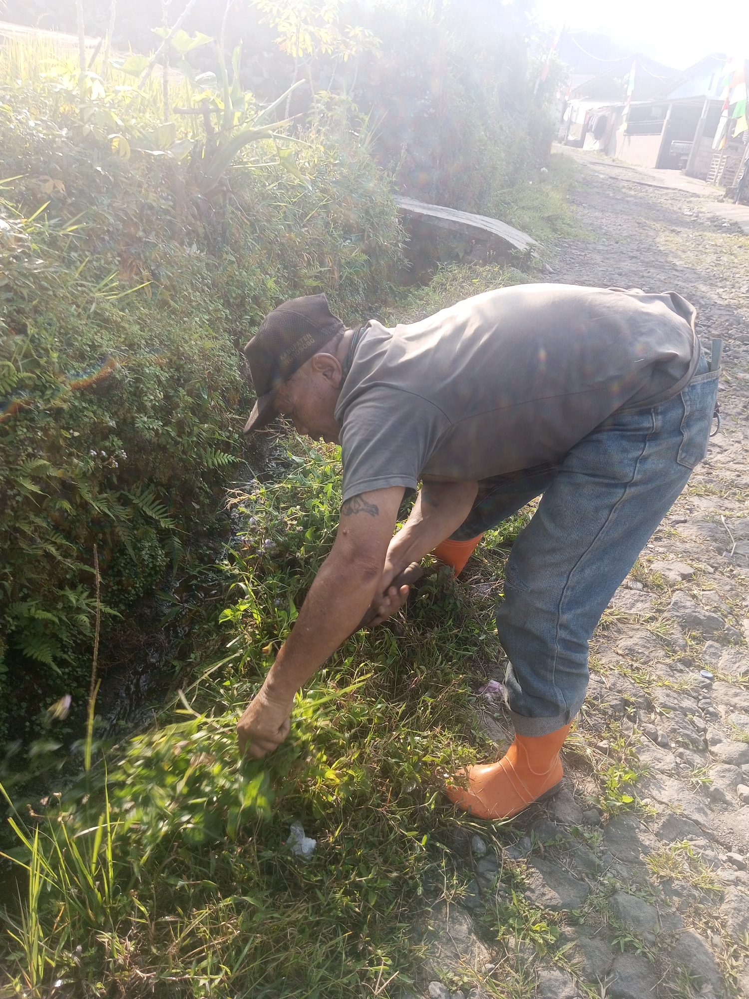 A man wearing a gray t-shirt, blue jeans, a dark baseball cap, and orange rubber boots is bending over and pulling weeds near a small stream or ditch. The man has a tattoo on his left arm. He is outdoors in a rural or semi-rural setting, with dense vegetation on the left and a rocky, dirt path on the right. In the background, there are some structures that appear to be buildings, and flags are visible. The sun is bright, creating strong highlights and shadows. The location is identified as Krasak, Indonesia.