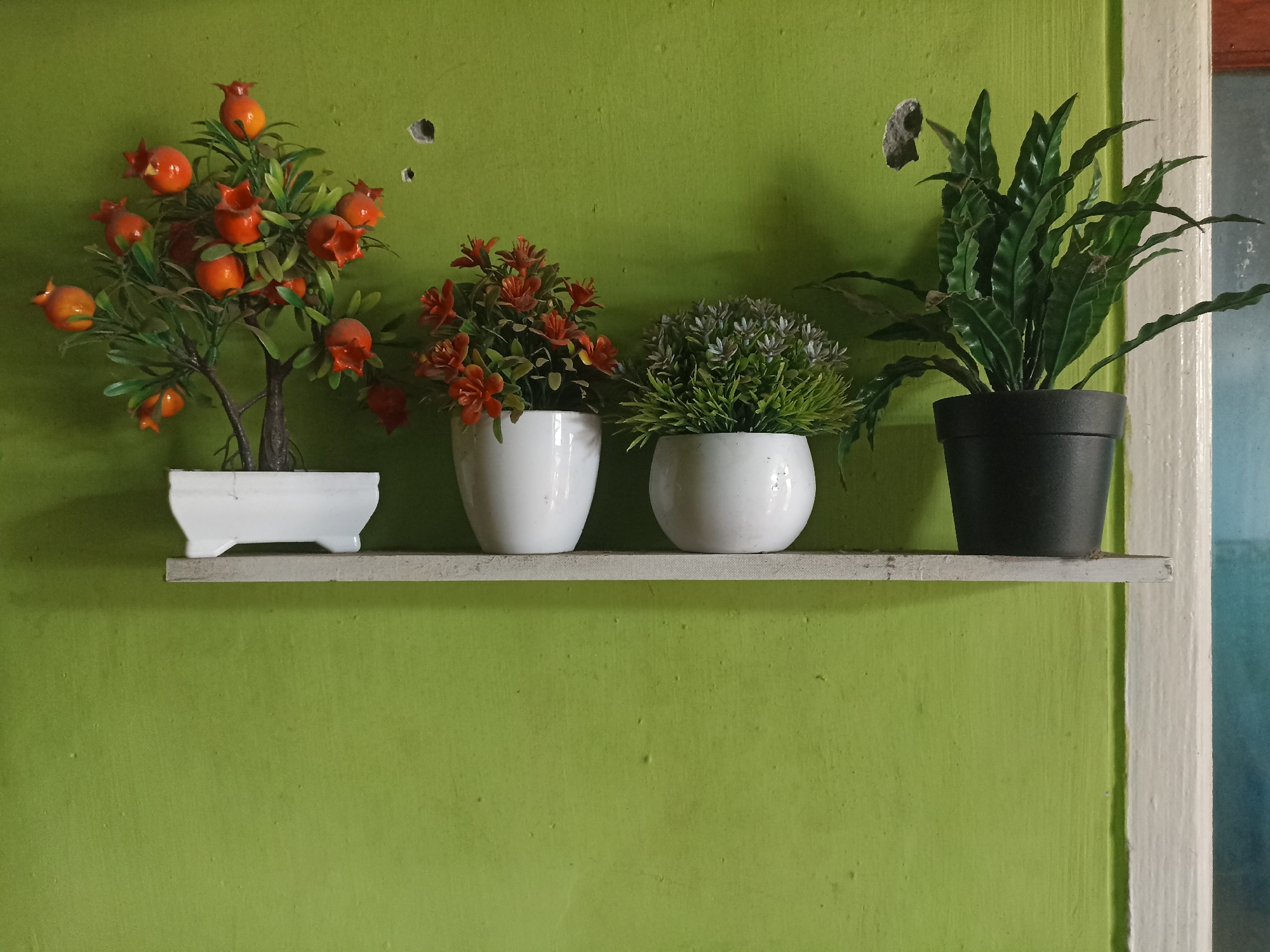The image shows a close-up of four potted artificial plants displayed on a light-colored shelf against a lime green wall. The wall has a textured finish and features two small holes near the top left. The shelf is positioned horizontally and appears to be made of wood or a similar material.
From left to right, the plants are:
1. A small tree with bright orange, pomegranate-like fruits and green leaves, planted in a white, rectangular pot.
2. A cluster of small, reddish-orange flowers with green foliage, in a white, cylindrical pot.
3. A round, bushy plant with small, grayish-green leaves, also in a white, cylindrical pot.
4. A dark green, leafy fern-like plant in a black, cylindrical pot.
To the right of the plants, a section of a white door frame is visible, and further to the right, a blurred area that appears to be part of a blue curtain or wall. The lighting suggests an indoor setting, possibly a home or a commercial space. The scene is static, with no visible human presence or activity. The overall impression is one of simple, decorative arrangement. The location of Pandanarum, Indonesia, is provided as context, but the image itself does not contain specific elements that definitively identify it as being within that city.