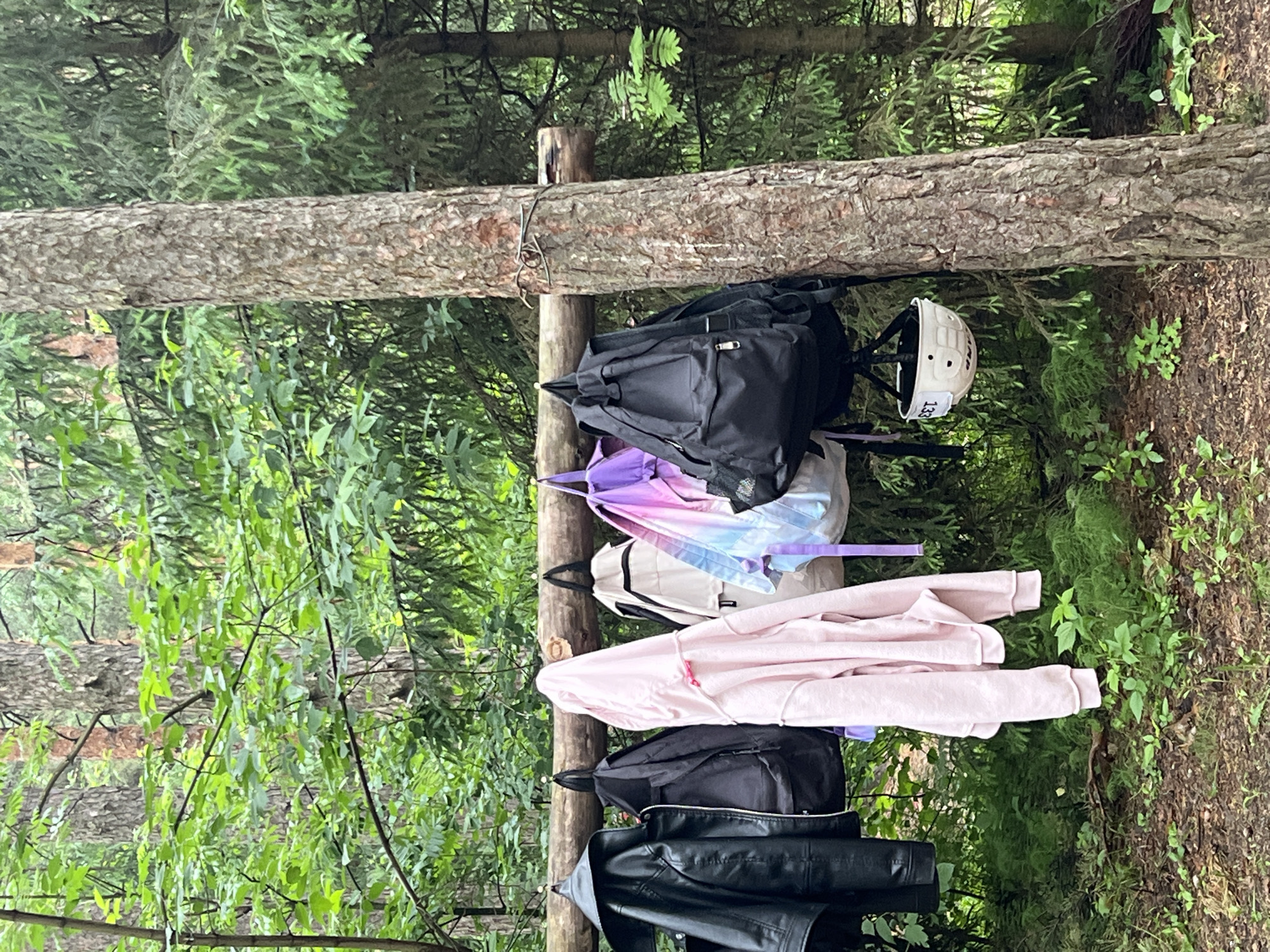 The image displays an outdoor scene in a dense forest or wooded area, characterized by abundant green foliage and tree trunks. A prominent horizontal log, likely a natural tree branch or part of a makeshift structure, traverses the middle of the frame and serves as a hanger for several items.
Arranged from left to right along this wooden log, the following objects are visible:
- A black jacket, possibly made of leather or a similar material.
- A black backpack.
- A pink hoodie or jacket, folded or draped.
- A light grey or off-white backpack.
- A multi-colored pastel backpack, showcasing shades of purple, pink, and blue.
- Another black backpack.
- A white helmet with the numbers "133" clearly printed in black on its side.
The background and foreground are filled with various green plants, leaves, and visible tree bark, indicative of a natural, untamed environment. The ground on the right side of the image appears to be dirt with small patches of green vegetation. The lighting suggests it is daytime, with natural light filtering through the tree canopy. No people are visible in the frame. The presence of backpacks, jackets, and a helmet implies that individuals are engaged in outdoor activities such as hiking, camping, or a sport that requires protective headgear. The log acts as a temporary storage or resting point for their belongings.