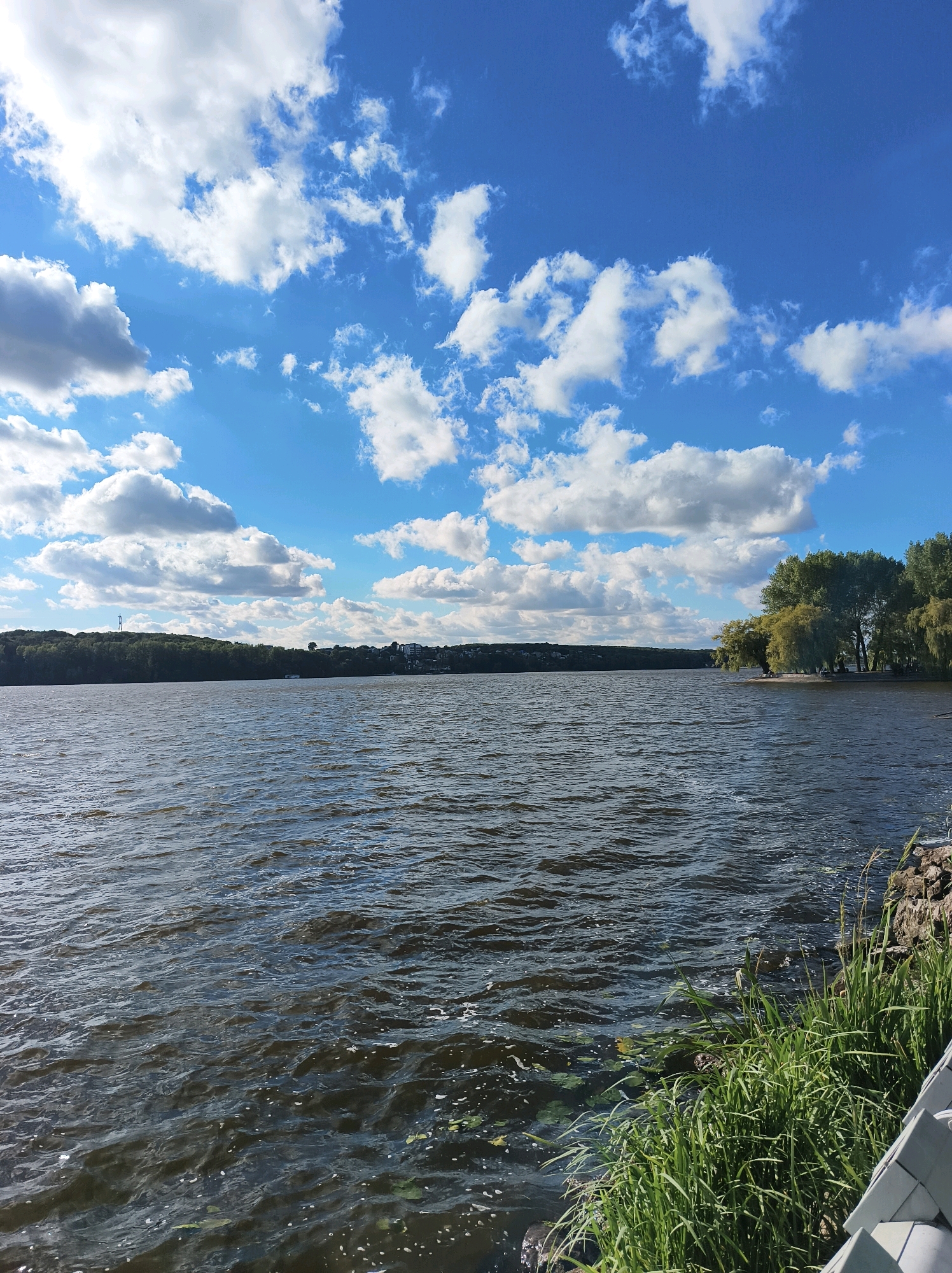 The image depicts a wide, calm river under a bright blue sky dotted with fluffy white clouds. The riverbanks are lined with dense green trees. In the distance, across the water, a line of buildings and structures are visible on the horizon, suggesting a populated area. The foreground shows a rocky embankment with tall green grass growing. The water has gentle ripples, reflecting the sky. The overall impression is of a serene natural landscape within or near an urban environment. This scene is characteristic of the Ternopil Reservoir, a large body of water on the Seret River, located within the city of Ternopil, Ukraine.