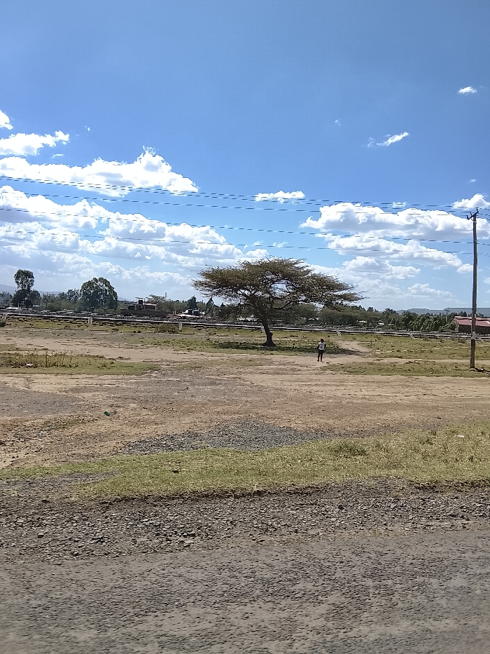 The image depicts an expansive, open landscape in the Kiambu Township ward, Kenya, under a bright blue sky with scattered white cumulus clouds. The foreground consists of a gravel and dirt surface with interspersed dry grass. The midground features a vast, sparsely vegetated field of light brown soil and patches of green grass. A single, mature tree with a wide, flat, green-brown canopy stands prominently to the left of the center. One individual, wearing a light-colored top and dark bottoms, walks away from the viewer on a dirt path in the midground, positioned slightly to the right of the large tree. In the background, several distant buildings, some with discernible red roofs, are visible amidst additional trees and a horizontal white pipeline or barrier structure. A dark utility pole supporting multiple overhead power lines is present on the far right side of the frame, with more power lines stretching horizontally across the upper portion of the sky.