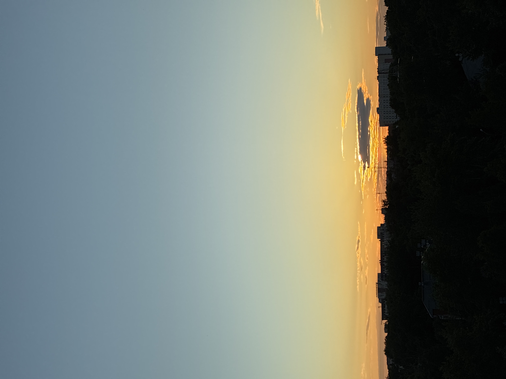 An outdoor, vertical, medium shot captures a sunset over a dense, dark green canopy of trees. The treeline is punctuated by the silhouettes of various buildings, including apartment complexes and industrial structures, against a sky transitioning from a pale blue at the top to a vibrant orange and yellow gradient near the horizon. A few scattered clouds, tinged with orange and yellow from the setting sun, drift across the sky. The foreground is dominated by the dark mass of the trees, obscuring any ground-level details. The scene appears to be taken from an elevated perspective, looking out over a cityscape.