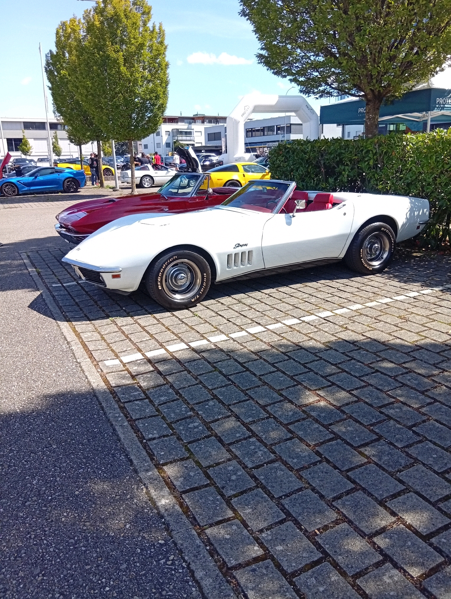 This is a full-shot, eye-level, outdoor photograph taken on a sunny day, likely in Langenthal, Switzerland, as indicated by the context of the image. The foreground is dominated by a white convertible Chevrolet Corvette Stingray. Its bright red interior is visible, as are its chrome wheels and the "BFGoodrich Radial T/A" tire branding. Adjacent to the white Corvette, a dark red convertible sports car, also a Corvette, is partially visible in the lower left corner of the frame. Both cars are parked on a paved surface composed of rectangular stone blocks, with a strip of asphalt to the left.
In the mid-ground, a row of parked cars includes a bright blue sports car and a yellow sports car. Further back, there are more vehicles and a green hedge. Behind the hedge, a white inflatable archway with black lettering that reads "PROTENT" spans across the scene. To the right of the archway, a green awning with the same "PROTENT" logo is visible above a building. Trees with green foliage are present in the background, and a clear blue sky with scattered clouds forms the backdrop. Several individuals are standing around the vehicles, engaged in what appears to be a car show or event.