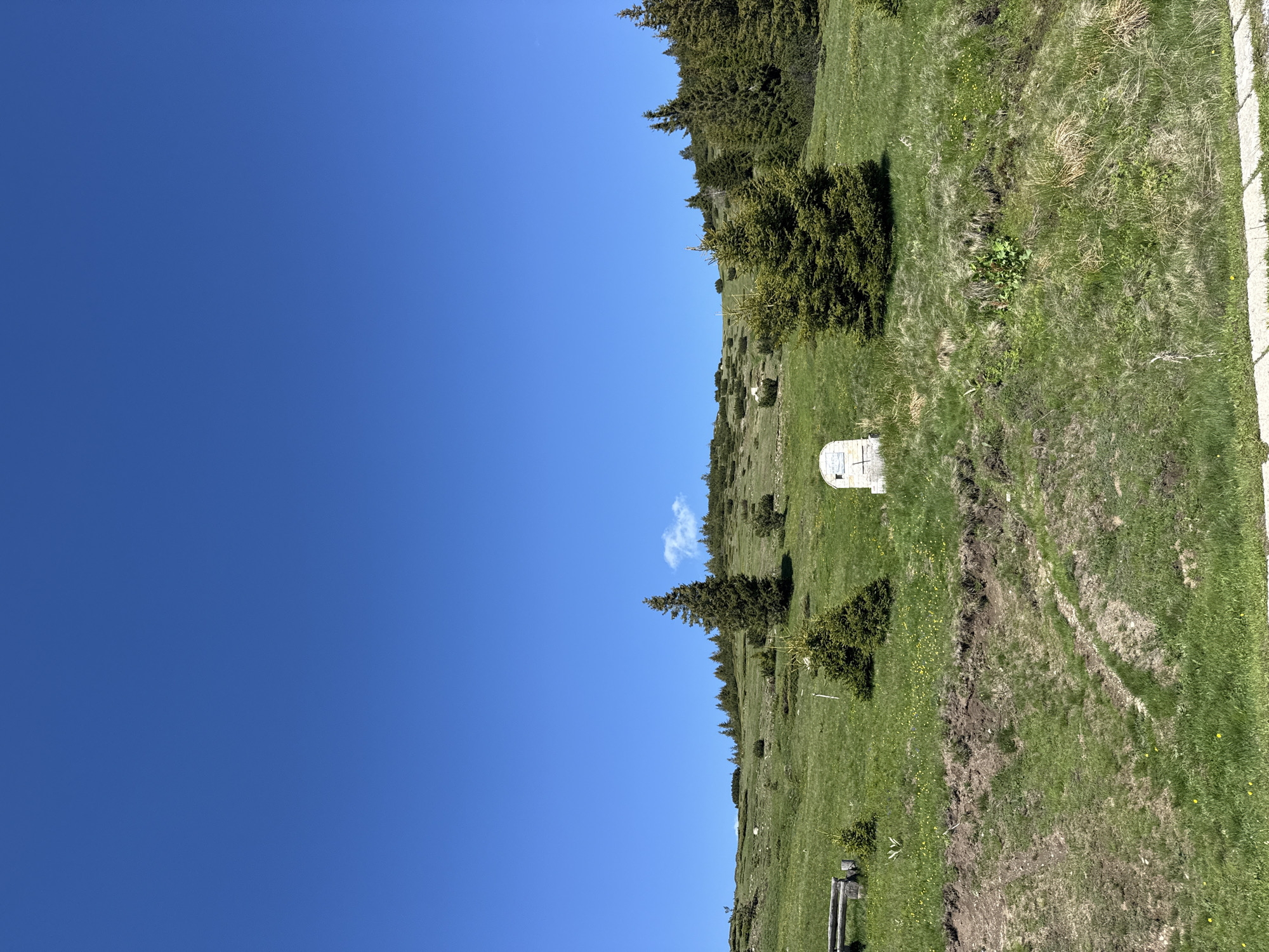 The image depicts a serene mountainous landscape on a clear day. The scene is dominated by a vast expanse of vibrant green grass covering rolling hills, dotted with scattered evergreen trees. In the foreground, a rough dirt path or track meanders across the grassy slope. To the left, a rustic wooden bench is placed on the grass, offering a resting spot. A small stone marker or monument stands in the middle ground, its inscription weathered and difficult to decipher. The background features a dense line of trees crowning the higher slopes, fading into a clear, bright blue sky. A few wispy white clouds drift lazily in the upper right portion of the sky. The overall impression is one of natural beauty and tranquility, characteristic of an alpine or subalpine environment. The scene is likely located in the vicinity of Konarsko, Bulgaria, given the typical topography and vegetation found in mountainous regions of the country.