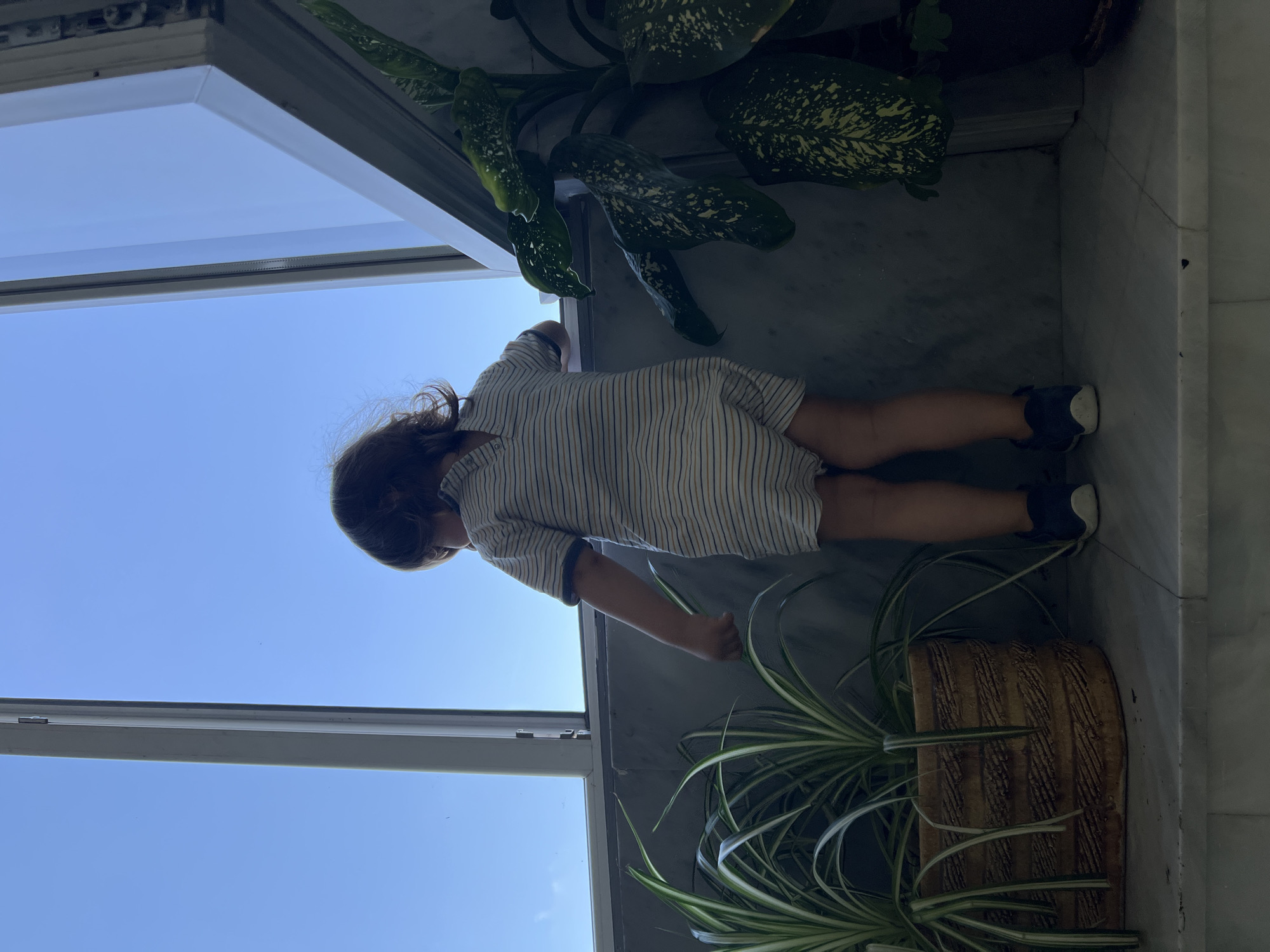 A young child, viewed from behind, stands on a tiled surface, looking out a large window at a clear blue sky. The child is wearing a striped short-sleeved romper and dark sneakers. To the left of the child is a large planter with spiky green and white plants. To the right, a large leafy plant with white splotches on its leaves is partially visible. The window appears to be in an apartment or building with a marble-like wall and windowsill. The scene appears to be indoors.