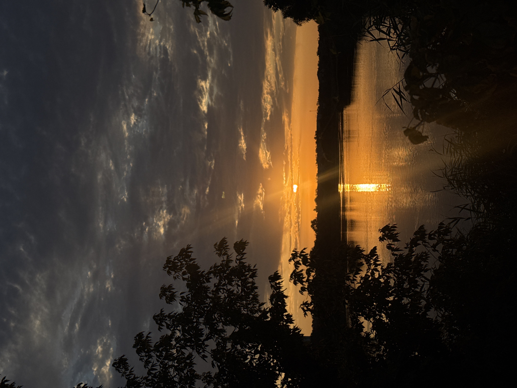 This is a vertical, eye-level, medium shot of a sunset over a body of water in Rostov-on-Don, Russia. The sun is low on the horizon, casting a golden glow across the sky and water. Dark silhouettes of trees frame the scene on the left and right. The sky is filled with dramatic clouds, some dark and heavy, others tinged with the warm hues of the setting sun. Rays of light pierce through the clouds, creating a radiant effect. The water reflects the sunset, creating a shimmering path of light that leads towards the viewer. The overall mood is serene and tranquil.