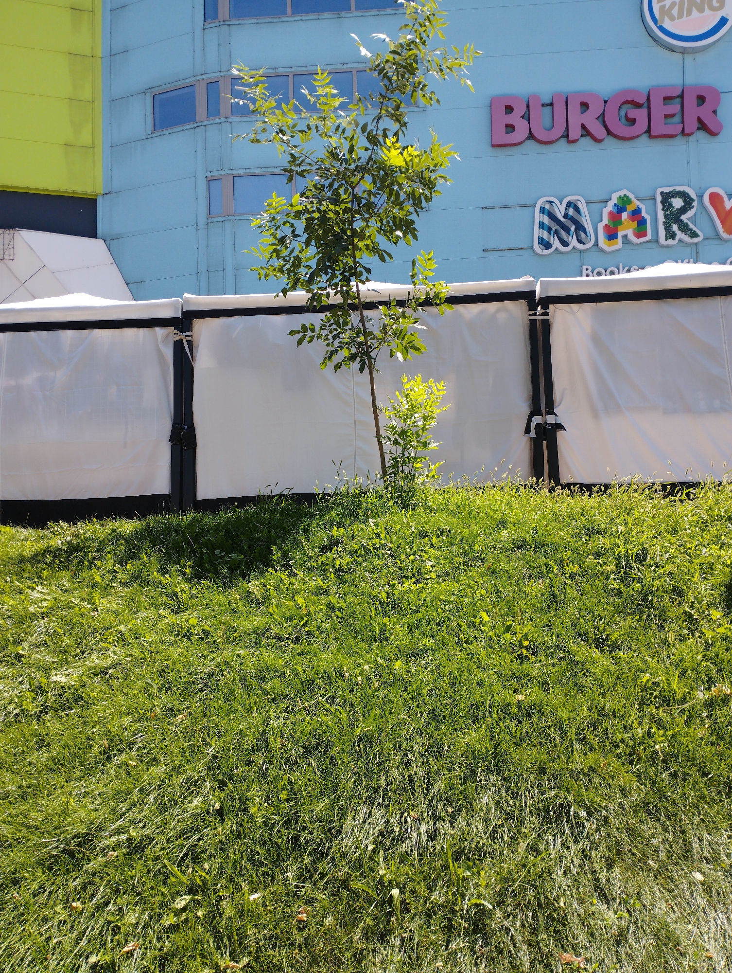 The image depicts a street-level view of a Burger King restaurant located in Almaty, Kazakhstan. The facade of the building features a bright blue wall adorned with the Burger King logo in pink lettering. Below this, another sign displays "MARY" with colorful, Lego-like blocks integrated into the lettering. A small tree with green leaves stands in the foreground, positioned on a grassy slope. In front of the restaurant, white tent-like structures with black trim are set up. The environment suggests a daytime scene under natural sunlight, with the grass in the foreground appearing well-lit and vibrant.