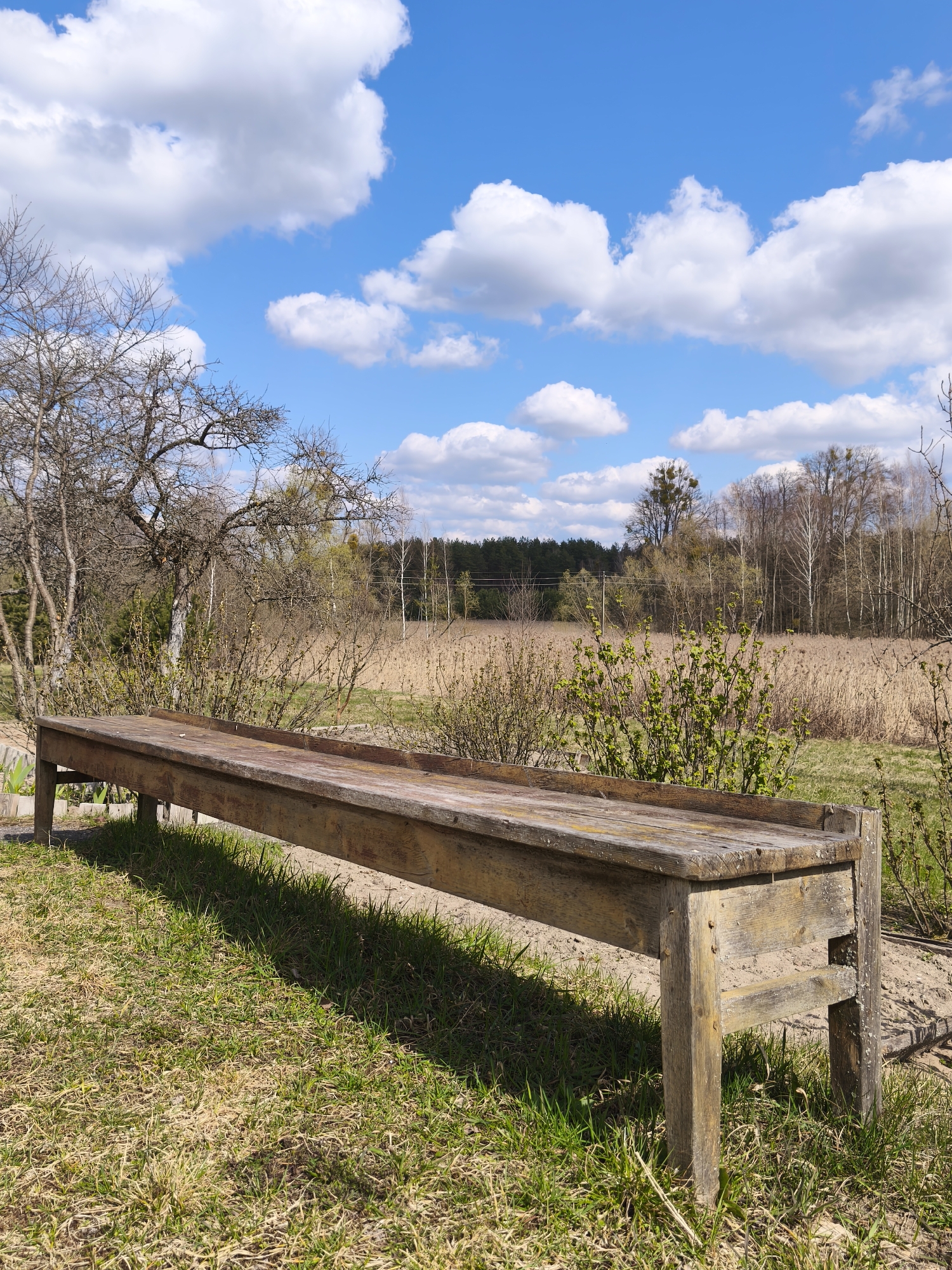 A long, rectangular, wooden structure resembling a trough or a very low bench sits on grassy ground under a blue sky with scattered white clouds. Behind the structure is a field of tall, dried grasses and shrubs, with a line of trees in the distance. A tree with bare branches is visible to the left. The scene appears to be in a rural or garden setting in Парэчча, Belarus.