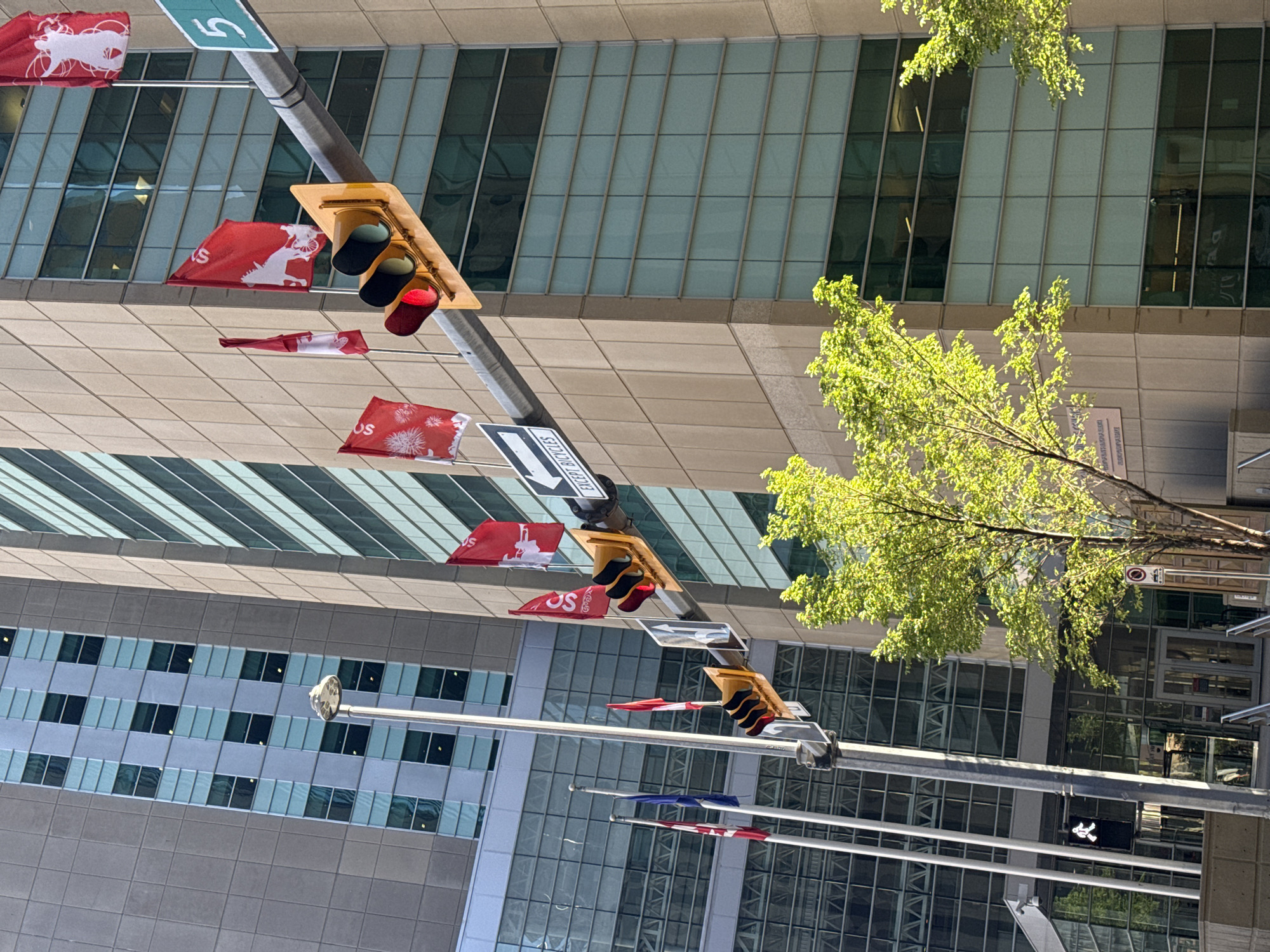 This is a low-angle, full outdoor shot of a modern building in downtown Calgary, Canada. The building is comprised of beige concrete and large tinted windows. There are several flags flying from poles in front of the building. Some of the flags are red with white designs, including what appear to be horses, flowers, and figures. Another flag is red and white checkered. There are also traffic lights visible, one of which has a red light illuminated. A street sign with the number "5" is mounted on a pole above the traffic lights. A directional sign indicating "EXCEPT BICYCLES" is also visible. A tree with bright green leaves is in the foreground, obscuring part of the building. A pedestrian crossing signal showing a white walking figure is visible on a pole in the lower left corner.
