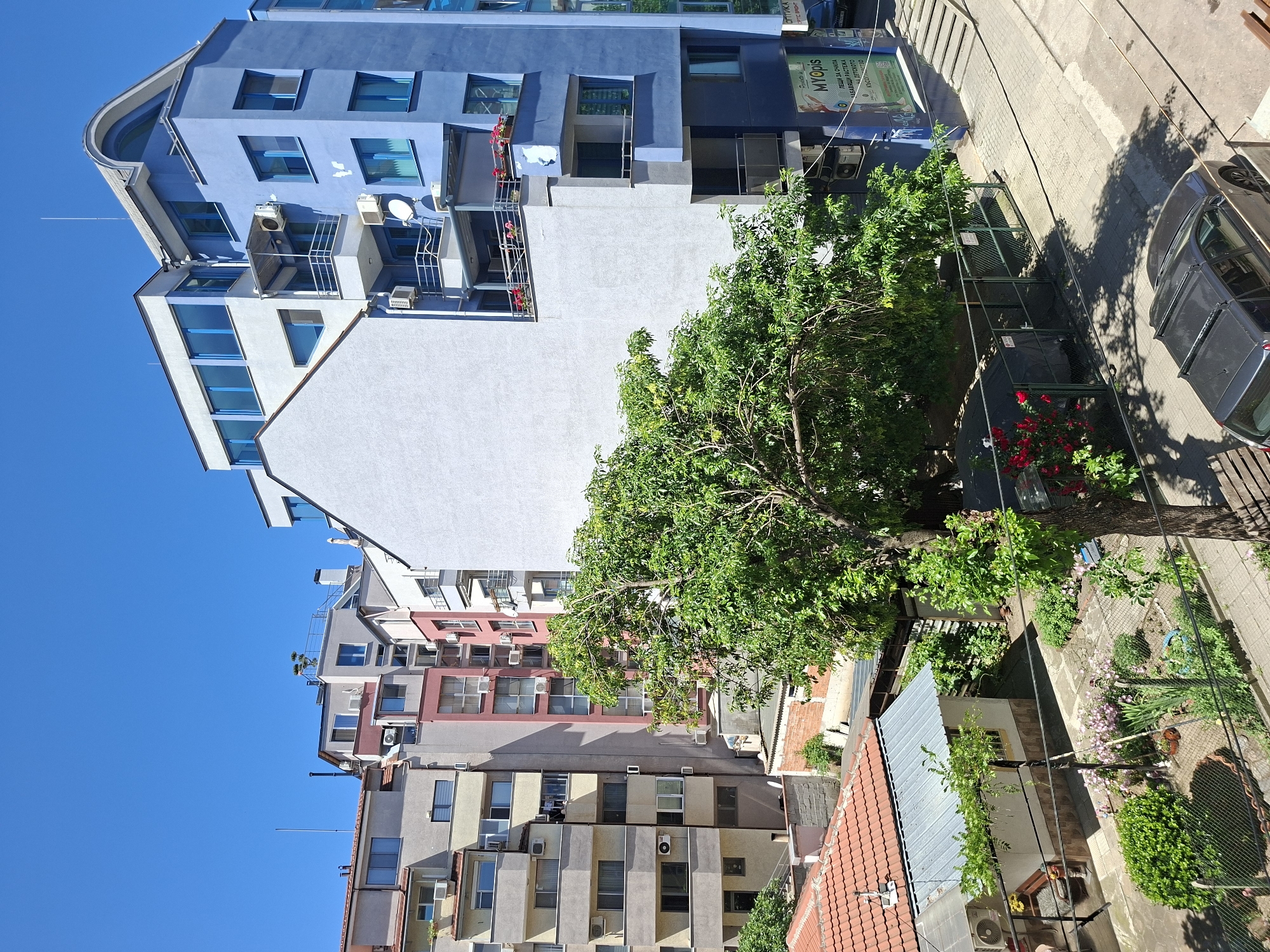 The image shows a vertical street scene in Plovdiv, Bulgaria. Buildings of varying heights and colors line the street, predominantly blue, white, pink, and beige. Most have windows and air conditioning units. A large green tree dominates the middle ground, obscuring some of the buildings. Below the tree is a fenced garden with various plants and flowers. A dark-colored car is parked on the street, casting a shadow. Above the buildings is a clear blue sky. A section of a red tile roof is visible in the lower right corner. A sign in Bulgarian is affixed to one of the buildings, providing the name of the business and contact information.