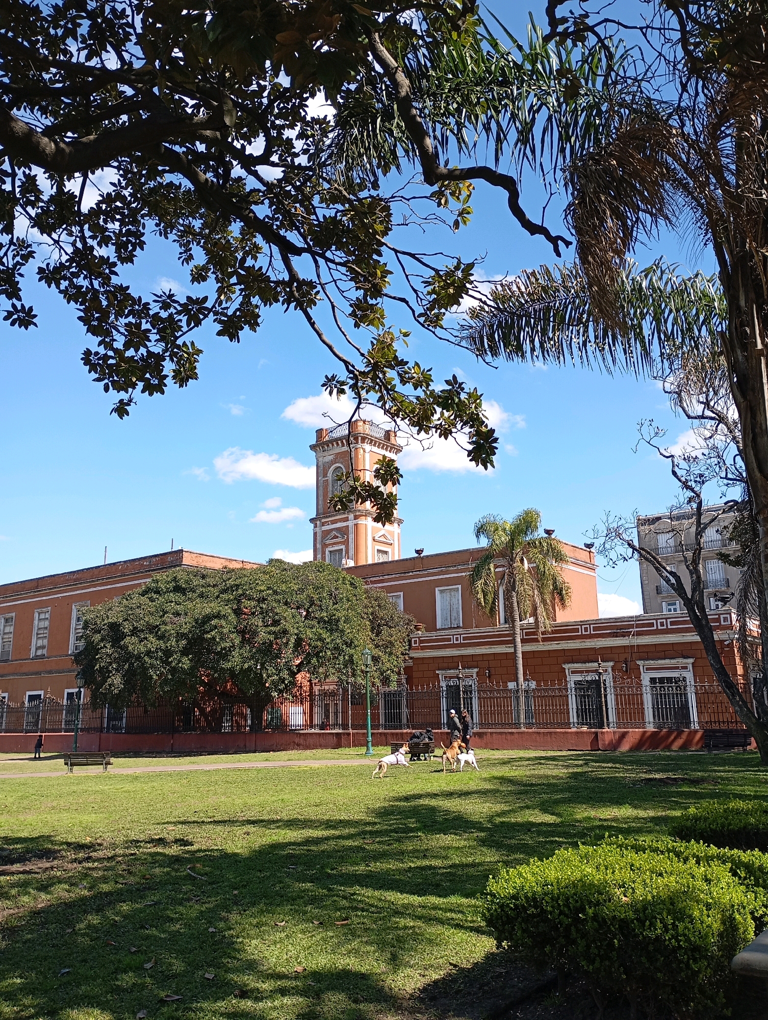 The image depicts a sunny day in a park in Buenos Aires, Argentina. In the background, a large, reddish-orange building with white trim and numerous windows stands prominently. To the right of this building, a tall, octagonal tower with arched windows and a decorative top extends upwards. Lush green trees, including a large, dense tree in front of the building and palm trees, dot the landscape. In the foreground, a well-maintained grassy lawn is visible, with shadows cast by the surrounding trees. Several dogs are playing on the grass, with one dog running freely and another two appearing to be interacting. A single person walks along a path near a bench, and another person sits on a bench further back, partially obscured by foliage. The sky is a clear blue, with scattered white clouds.
