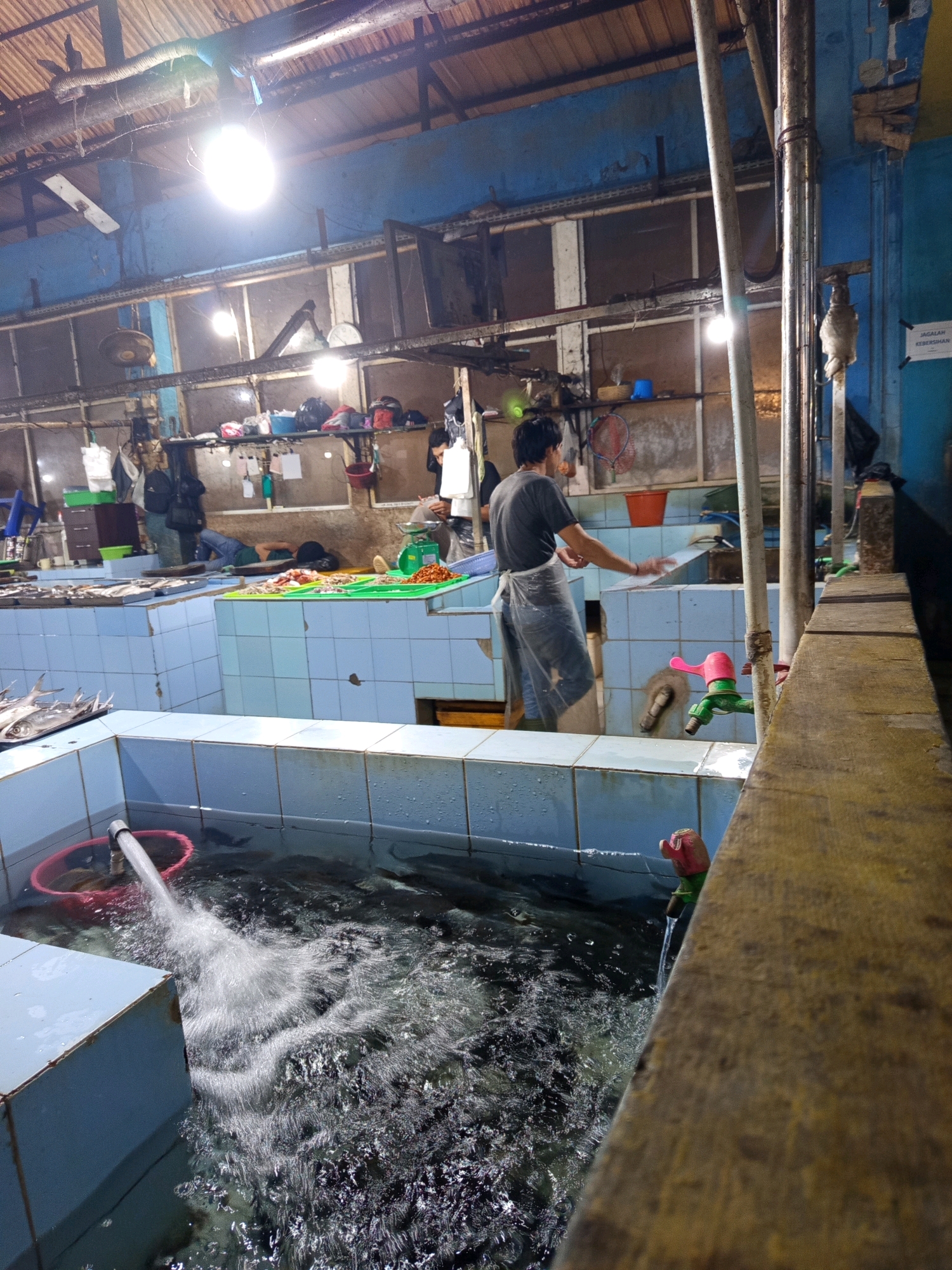This image depicts a fish market in Karawang, Indonesia, with a focus on the preparation and display of fish. A man, wearing a grey t-shirt and a transparent apron, is standing in the foreground. He appears to be engaged in some task related to the fish, possibly cleaning or preparing them. He is facing away from the camera, his left arm extended.
The environment is a wet, tiled area, suggesting a place where fish are handled. Several tanks or displays filled with water and fish are visible. In one tank in the foreground, water is being actively pumped in, creating a strong current and aeration. There are also trays of fish laid out on surfaces.
The background reveals the structure of the market, with corrugated metal roofing and exposed beams. Shelves are mounted on the wall, holding various items, including bags and containers. Lighting fixtures are present, illuminating the space. The overall impression is a functional, busy environment for the sale of fresh fish.