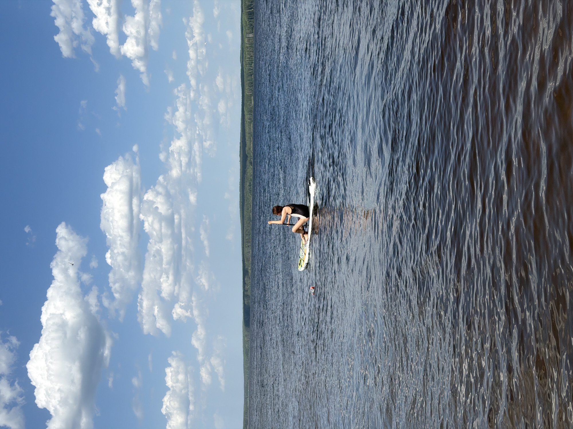 A long shot shows a person paddleboarding on a body of water. The person is kneeling on a light-colored paddleboard, facing away from the camera, with one arm outstretched. The body of water extends into the distance, and the opposite shore is lined with a dense forest. The sky is blue with scattered white clouds. The image was taken in Chaikovsky, Russia.