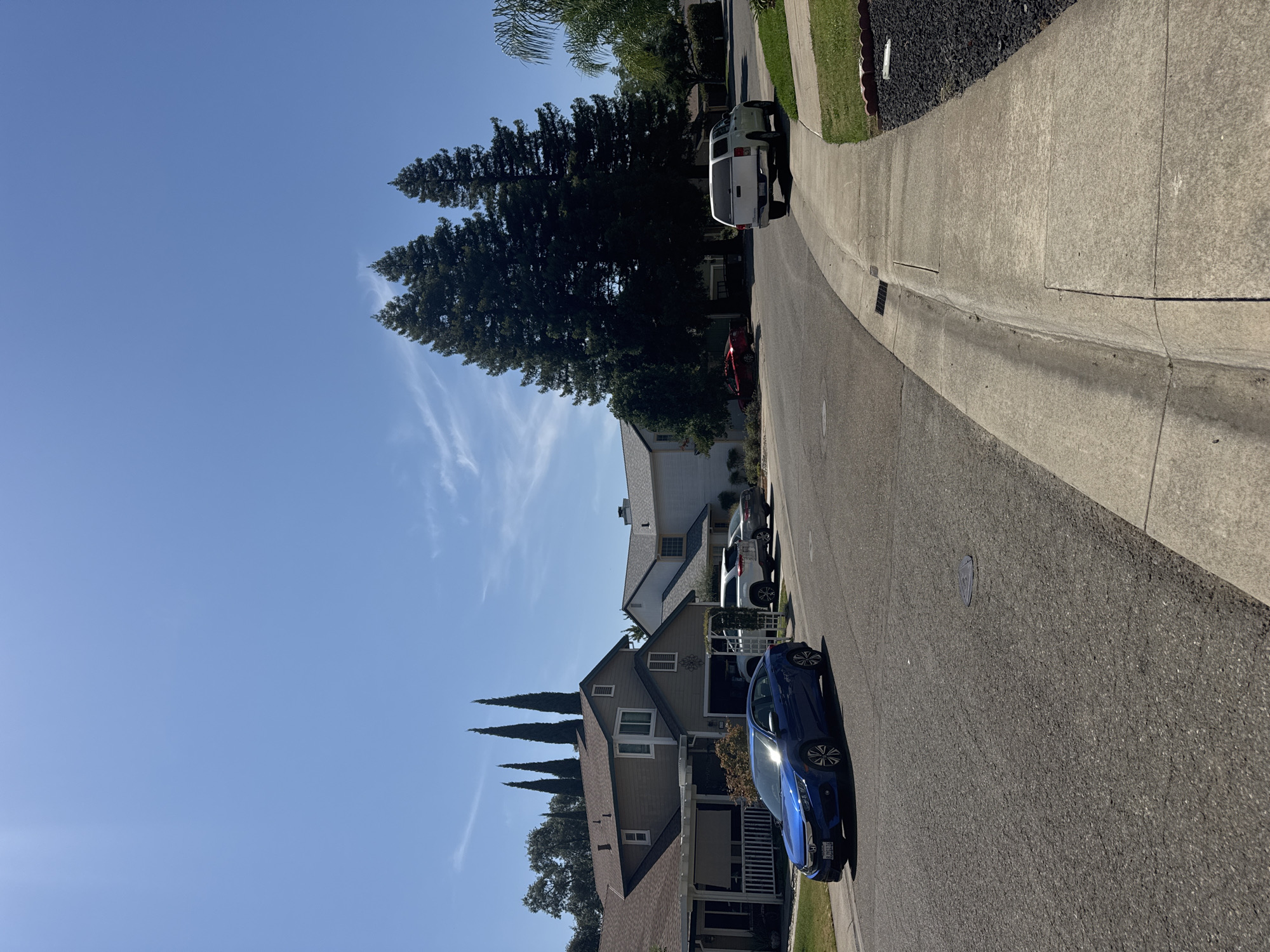 This is a daytime, eye-level, outdoor shot of a suburban street in Citrus Heights, United States of America. The sky is clear and blue with some wispy white clouds. In the foreground, a paved street curves to the right, bordered by a concrete sidewalk. A dark blue Honda sedan is parked on the left side of the street, facing away from the camera. Beyond the street and sidewalk, several houses are visible, varying in architectural style and color, with manicured lawns and landscaping. Tall, slender cypress trees stand in front of some of the houses, and larger, mature evergreen trees are present further down the street. A white Toyota pickup truck is parked on the right side of the street, facing away from the camera. The overall scene depicts a quiet residential neighborhood.