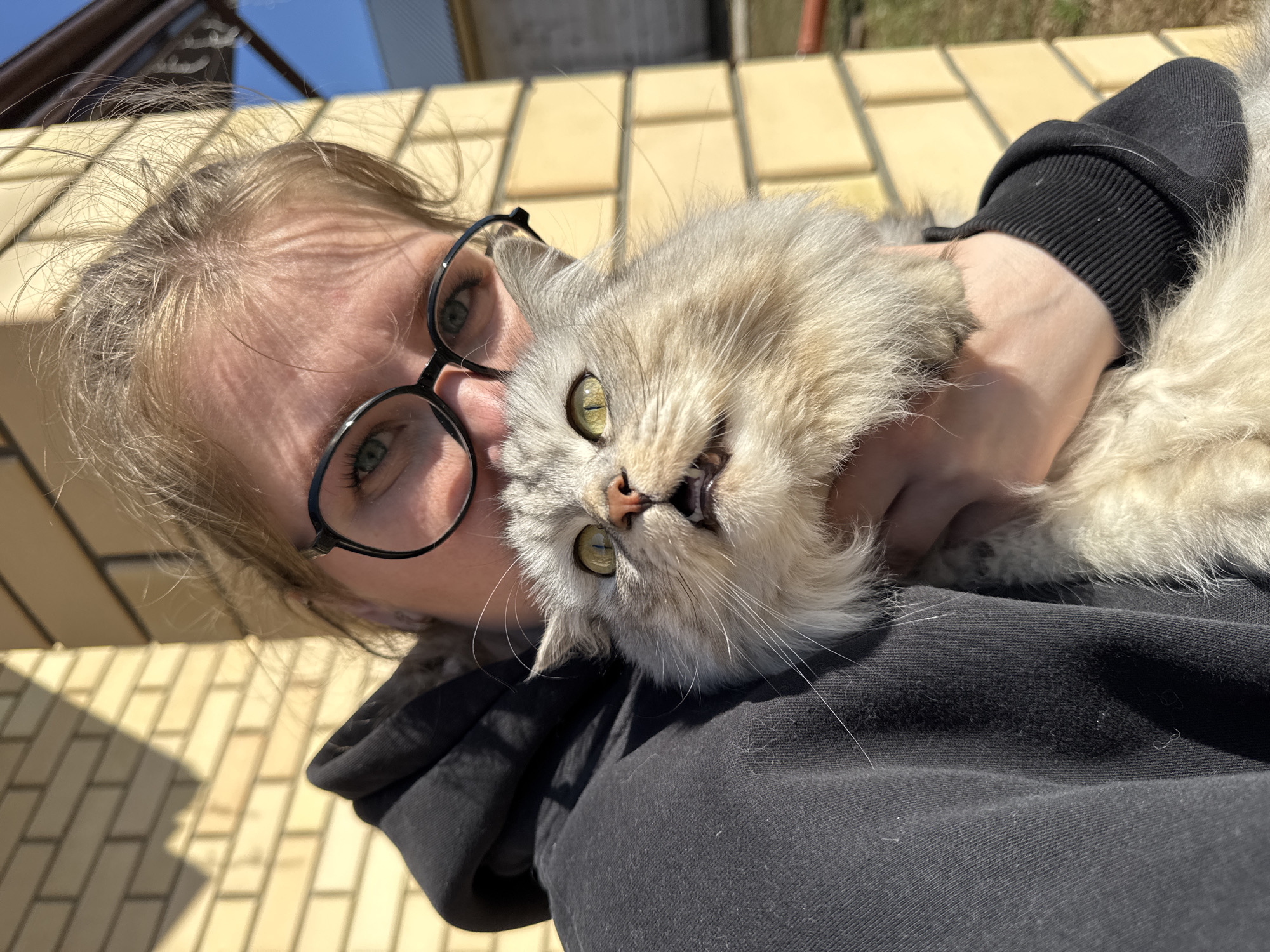 The image shows a person holding a cat. The person wears black-rimmed glasses and a black hooded sweatshirt. The cat is light gray with green eyes. The background appears to be a brick structure, possibly a wall or building. The location is possibly in Gornyi (Dvurechenskoe S/P), Russia, based on user information. The image is taken at a close distance, focusing on the faces of the person and the cat. The cat appears to be in an uncomfortable position.
