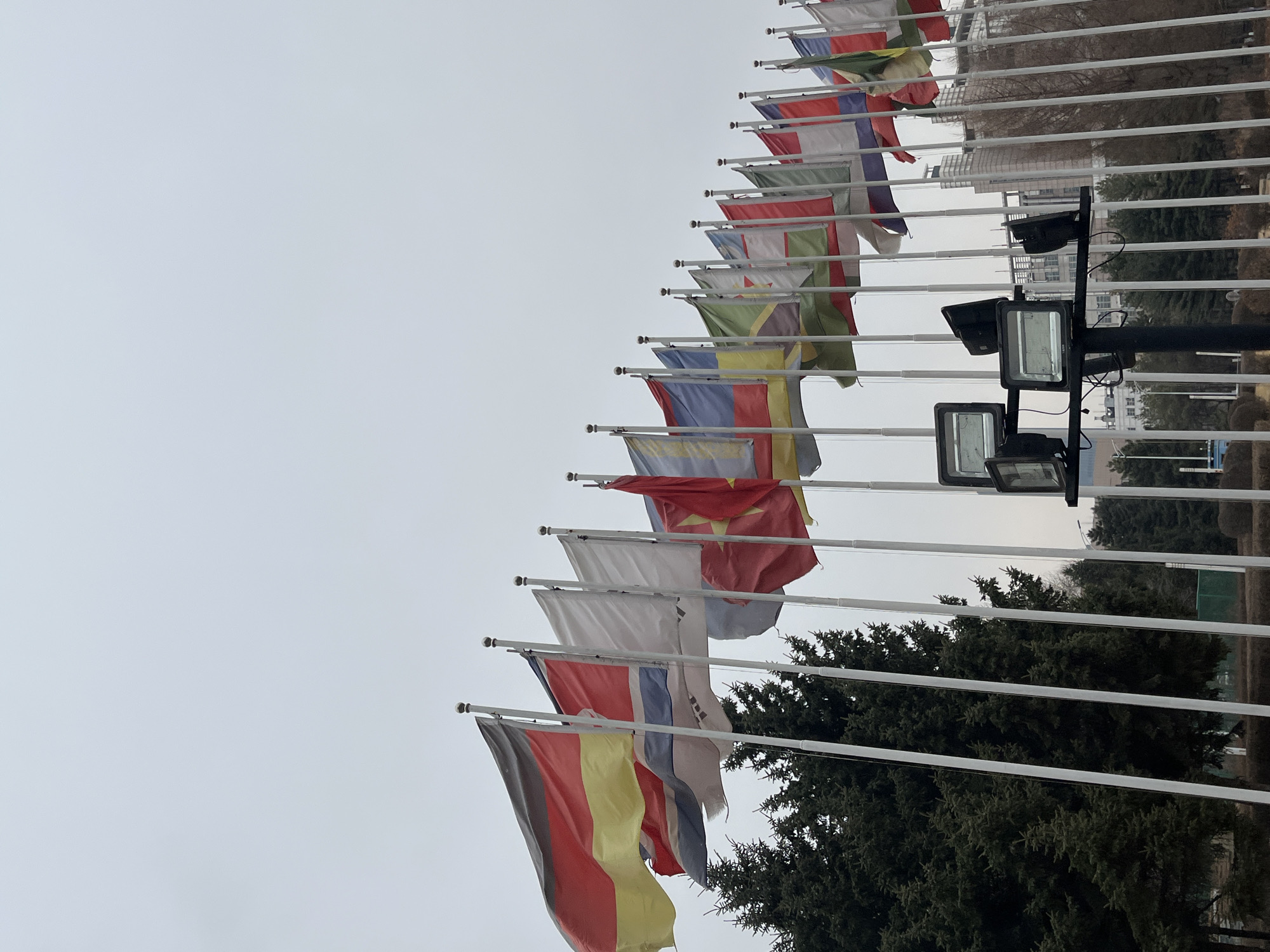 The image shows a row of international flags on flagpoles. In the background are several spotlights mounted on a pole. The flags appear to be fluttering in the wind, and the sky is overcast. Trees are visible behind the flags. The scene is likely in Changchun City, China, based on the image title.