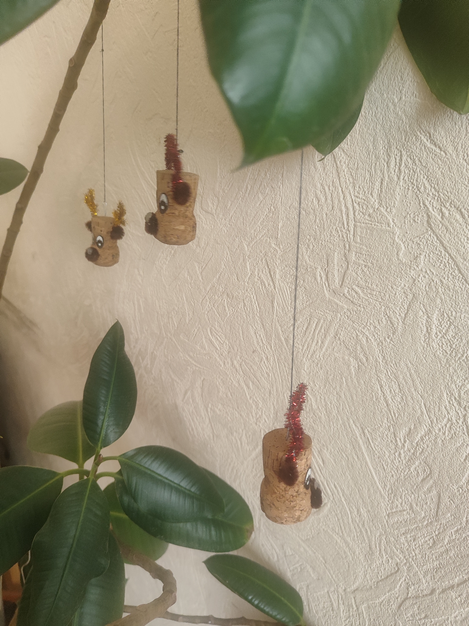 Three small, handmade ornaments, resembling reindeer faces, hang from thin strings against a textured, light-colored wall. Each ornament is made from a cork, with painted eyes and a brown nose. The leftmost ornament has small, gold pipe cleaner antlers, and the other two have red pipe cleaner accents sticking out of the top. A plant with large, dark green leaves is partially visible in the foreground. The ornaments appear to be Christmas decorations. The location is not specified.