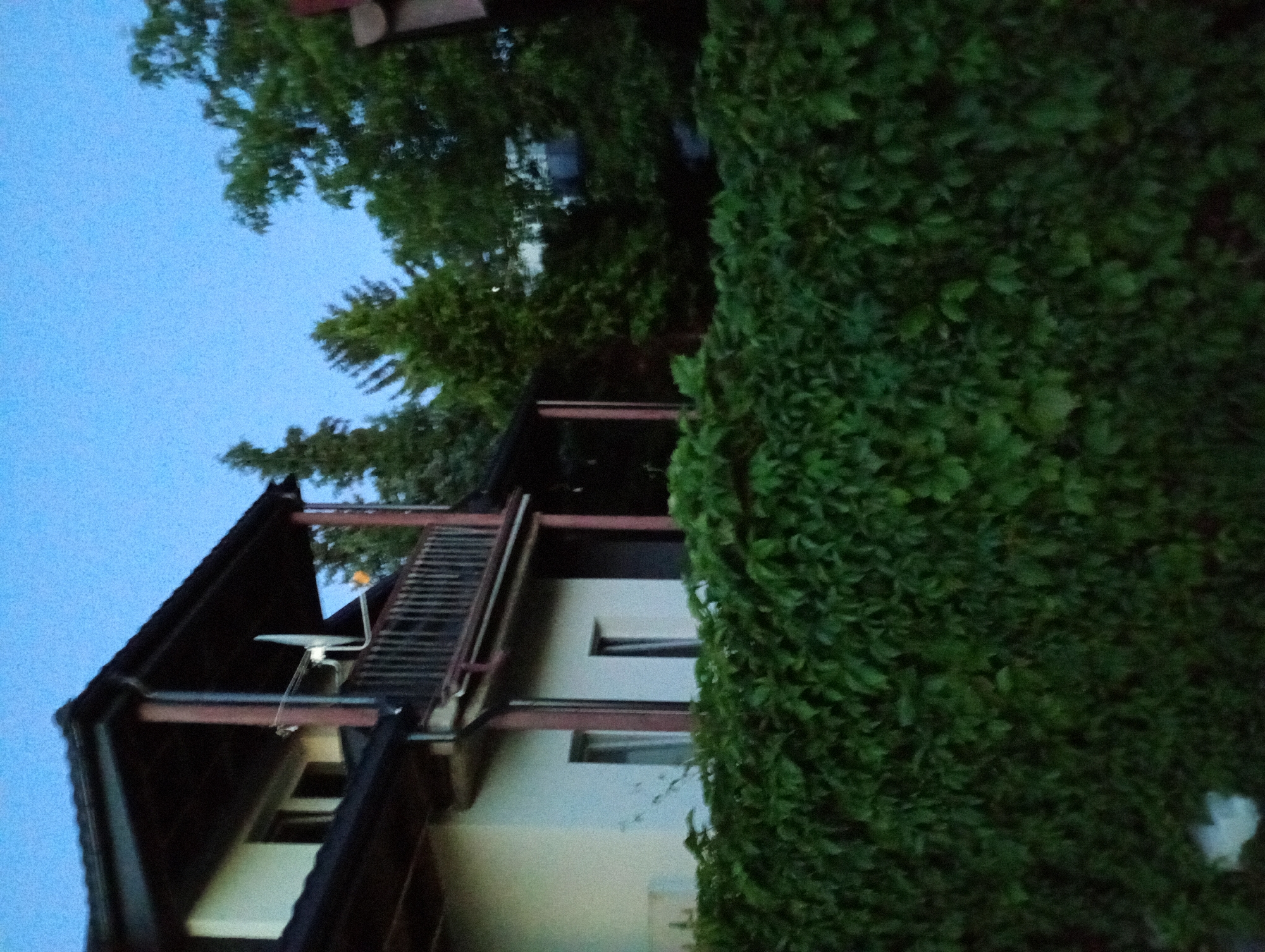 The image depicts a residential building with a balcony and a satellite dish, partially obscured by dense green foliage, likely a hedge or ivy. The building appears to be painted a light color, possibly white or off-white, and features dark-colored eaves and trim. Two windows are visible on the lower level of the building, one to the left and one to the right. The balcony has wooden railings and supports, and is under a dark roof. The sky above is a clear, pale blue, suggesting it is either early morning or late evening. Tall green trees are visible behind and to the right of the building. The overall scene suggests a suburban or rural residential setting. The location is Białystok, Poland.
