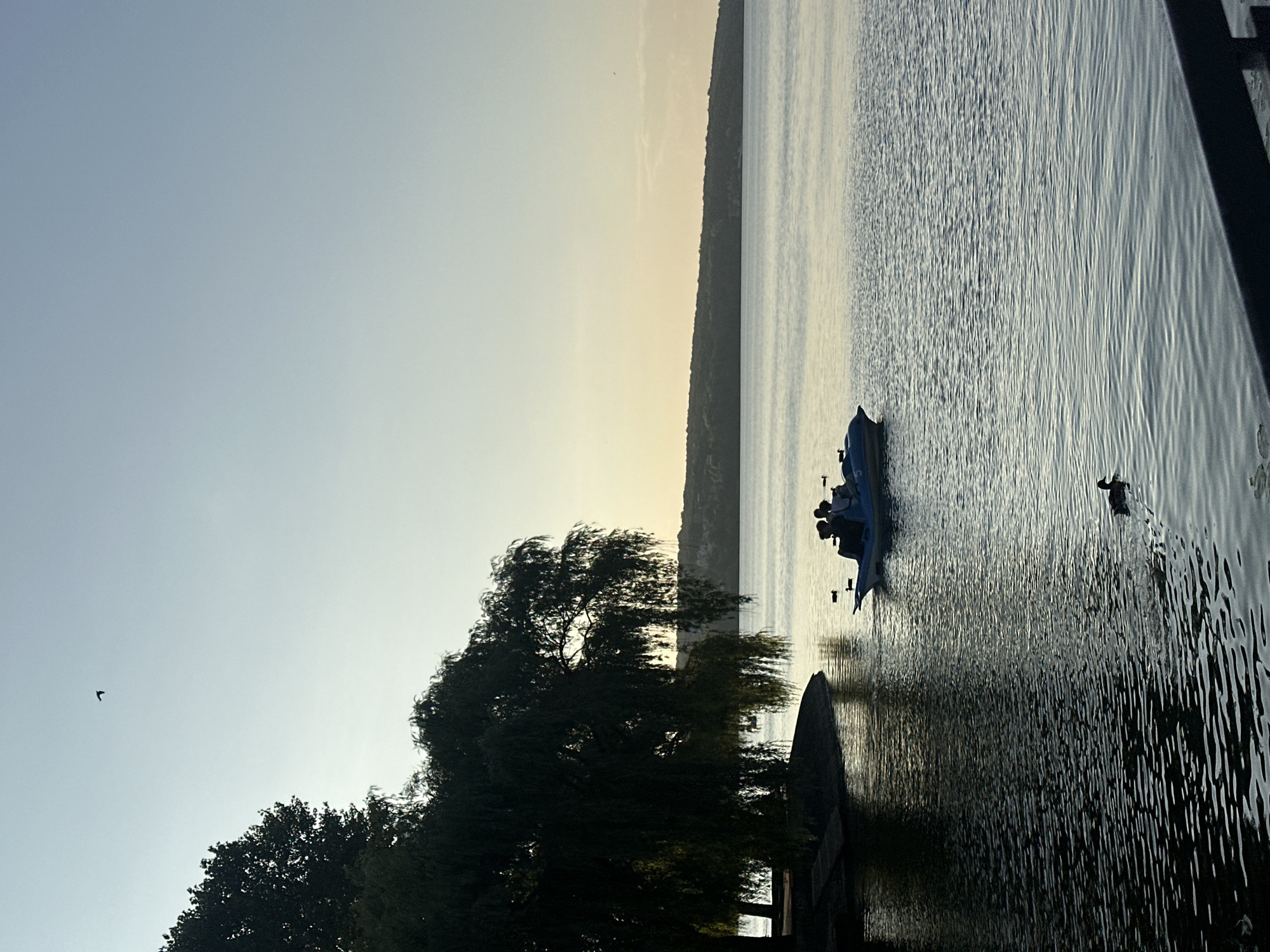 This image captures a serene view of Ternopil Lake in Ternopil, Ukraine, during what appears to be late afternoon or early evening, given the soft, diffused light and the gradient of the sky from a pale yellow near the horizon to a light blue overhead.
In the foreground, the dark water of the lake is rippled, with a single duck swimming away from the viewer towards the left. Further out on the water, a blue paddleboat is occupied by at least two individuals, silhouetted against the water. The paddleboat has a number "5" visible on its side. Several other ducks are scattered across the lake's surface, adding to the tranquil atmosphere.
To the left of the frame, a large weeping willow tree dominates the shoreline, its drooping branches creating a dense canopy that casts a significant shadow. The tree is situated on a small, dark landmass that slopes down to the water's edge. Beyond the lake, a tree-covered hill forms the distant horizon, partially obscured by the hazy light. The sky is mostly clear, with a small bird in flight visible in the upper left quadrant. The overall scene conveys a sense of calm and natural beauty.