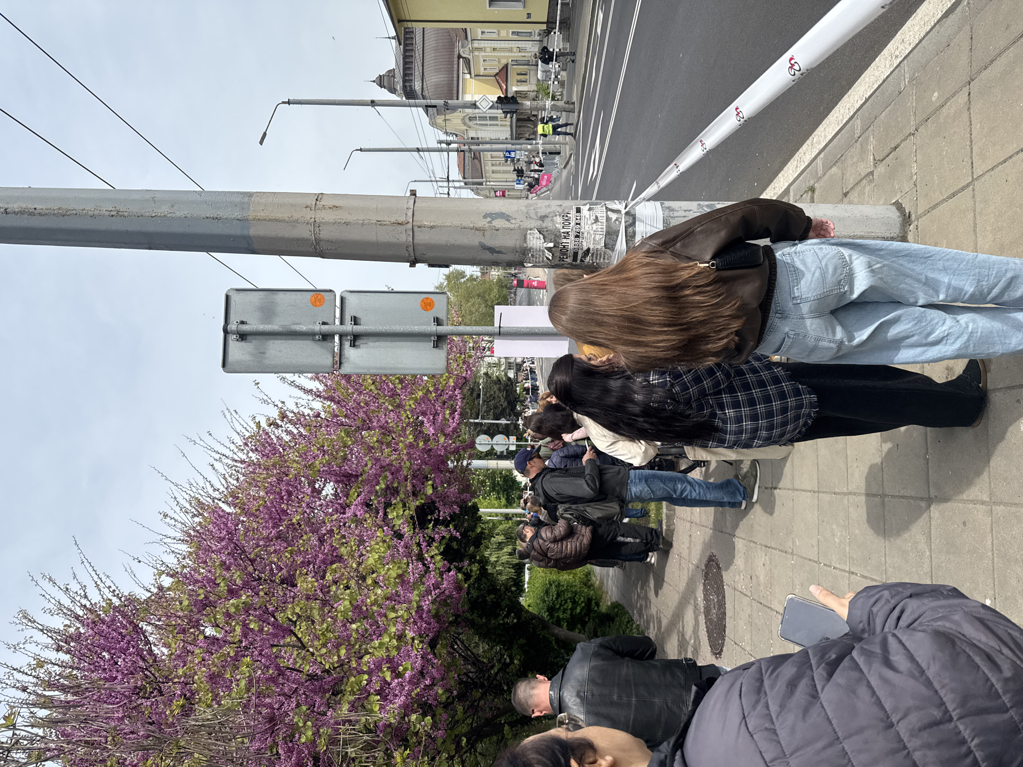 The image shows a group of people standing on a sidewalk along a street in Burgas, Bulgaria. The group is positioned next to a blooming purple tree. A white barrier runs along the edge of the sidewalk, separating it from the street. In the background, buildings, street lights, and pedestrians are visible. The people in the foreground appear to be observing or photographing something, with at least one person holding a mobile phone. The building in the background is Burgas's State Opera.