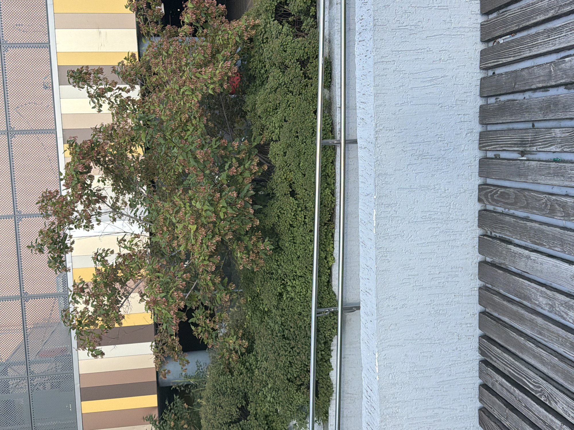 The image depicts an outdoor scene with a small tree, lush green bushes, a metal railing, and a textured concrete wall in the foreground, above a wooden bench. The background features a building with a facade composed of vertical stripes of various colors, including brown, beige, yellow, and cream, topped with a grey lattice-like structure. The lighting suggests it is daytime, likely with overcast or diffused sunlight. There are no people or animals visible in the image. The scene appears to be a landscaped area, possibly in a public space or park.