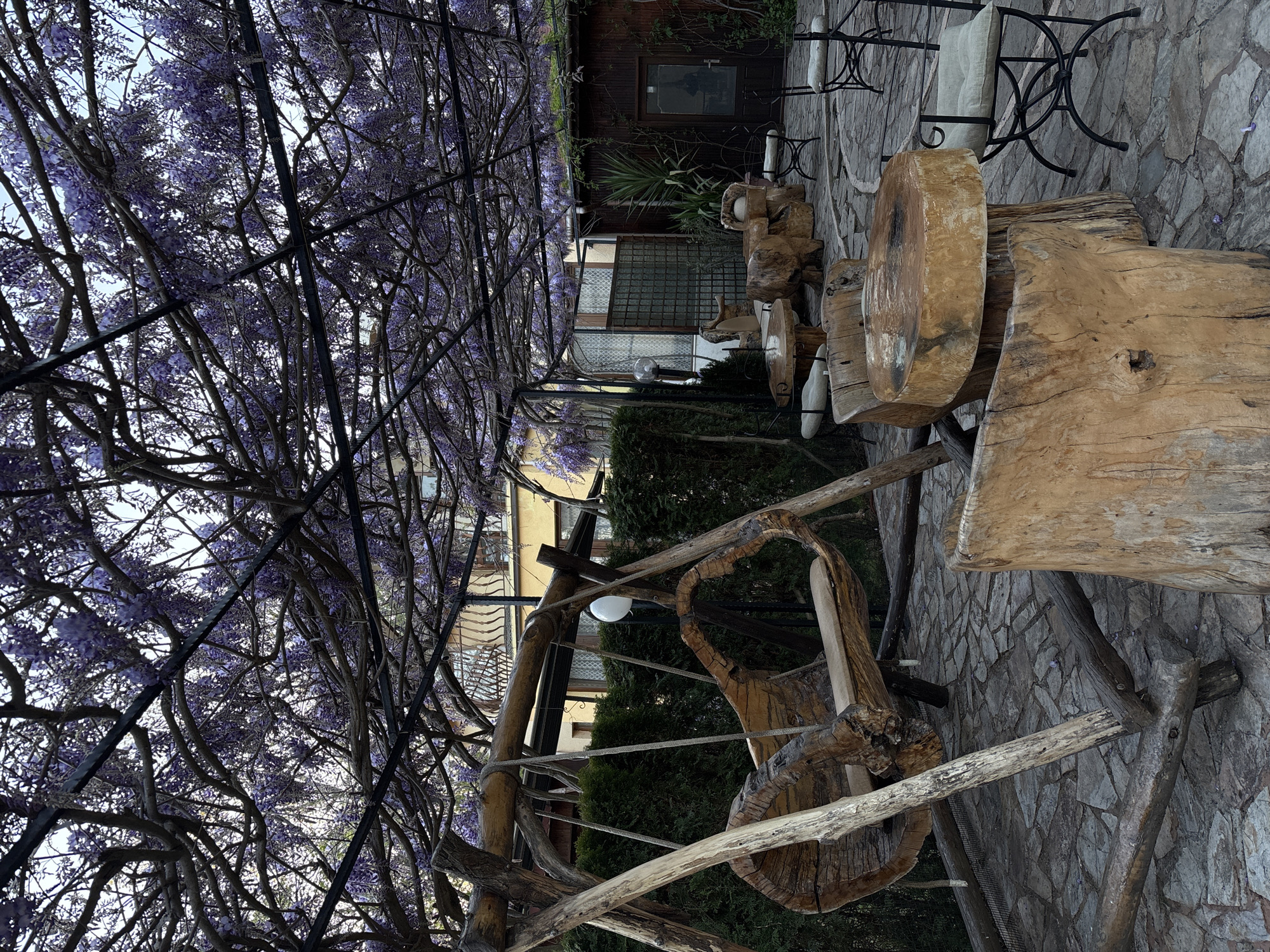 An outdoor dining or seating area is depicted, featuring a lush wisteria pergola that forms a vibrant canopy overhead, adorned with purple blossoms. The wisteria vines are trained over a dark metal framework, creating a shaded and picturesque tunnel effect.
The ground is paved with irregularly shaped stone slabs, contributing to a rustic aesthetic. Scattered throughout the area are various pieces of outdoor furniture. Prominently featured are large, rugged tables and chairs or stools crafted from thick, unfinished tree trunks and wood slabs, showcasing natural textures and shapes. Further back, there are more conventional wrought iron chairs with light-colored cushions.
On the right side of the image, a dark-colored wooden building with a single door is visible. To its left, another building with a lighter facade and windows can be seen in the background. Green foliage, including shrubs and a palm plant, adds to the natural setting. In the foreground on the left, a unique wooden swing or bench structure, also made from natural wood elements, is partially visible. An outdoor lamp is attached to one of the wooden supports.
The scene appears to be set during daytime, with diffused light suggesting an overcast sky or a time when the sun is not directly overhead. There are no people visible, allowing the focus to remain on the natural and handcrafted elements of the space. No visible text is present. The overall ambiance is one of natural charm and a peaceful outdoor retreat, consistent with a garden or a traditional outdoor cafe in a location like Varna, Bulgaria.