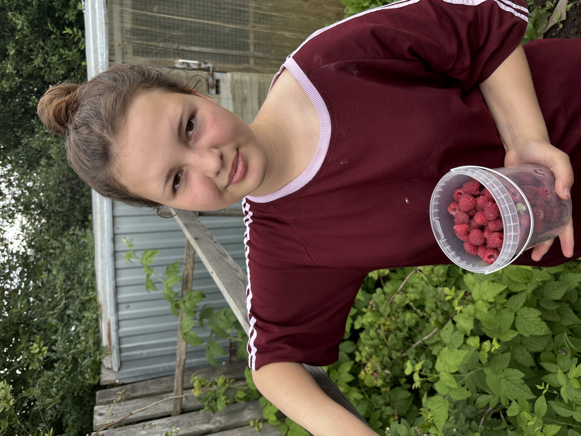 A young person with brown hair pulled up in a bun is holding a clear plastic bucket filled with raspberries. They are wearing a maroon t-shirt with white stripes on the sleeves. The background consists of green foliage, a wooden fence, and a corrugated metal structure. The image appears to have been taken outdoors, possibly in a garden or rural setting, though no specific landmarks in the city of Фоки, Russia are identifiable.