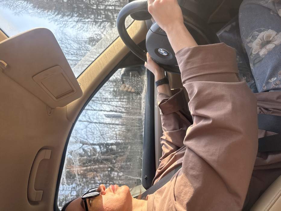 An individual is observed operating a motor vehicle in Iiul'skoe, Russia. The person, appearing to be an adult female, occupies the driver's seat, gripping a steering wheel marked with a BMW emblem. She wears dark sunglasses, a light brown long-sleeved top, a floral-patterned lower garment, and a dark wristwatch on her left wrist. A dark-colored seatbelt is fastened across her chest. The car's interior trim, including the ceiling and a passenger-side sun visor (currently upright), is light beige. Sunlight enters the cabin from the right, creating shadows. Through the windshield, which exhibits visible streaks or smudges, a clear blue sky is visible above a landscape dominated by bare trees, consistent with a forested or rural roadside environment. A vertical pole or sign is discernible outside the vehicle to the left.