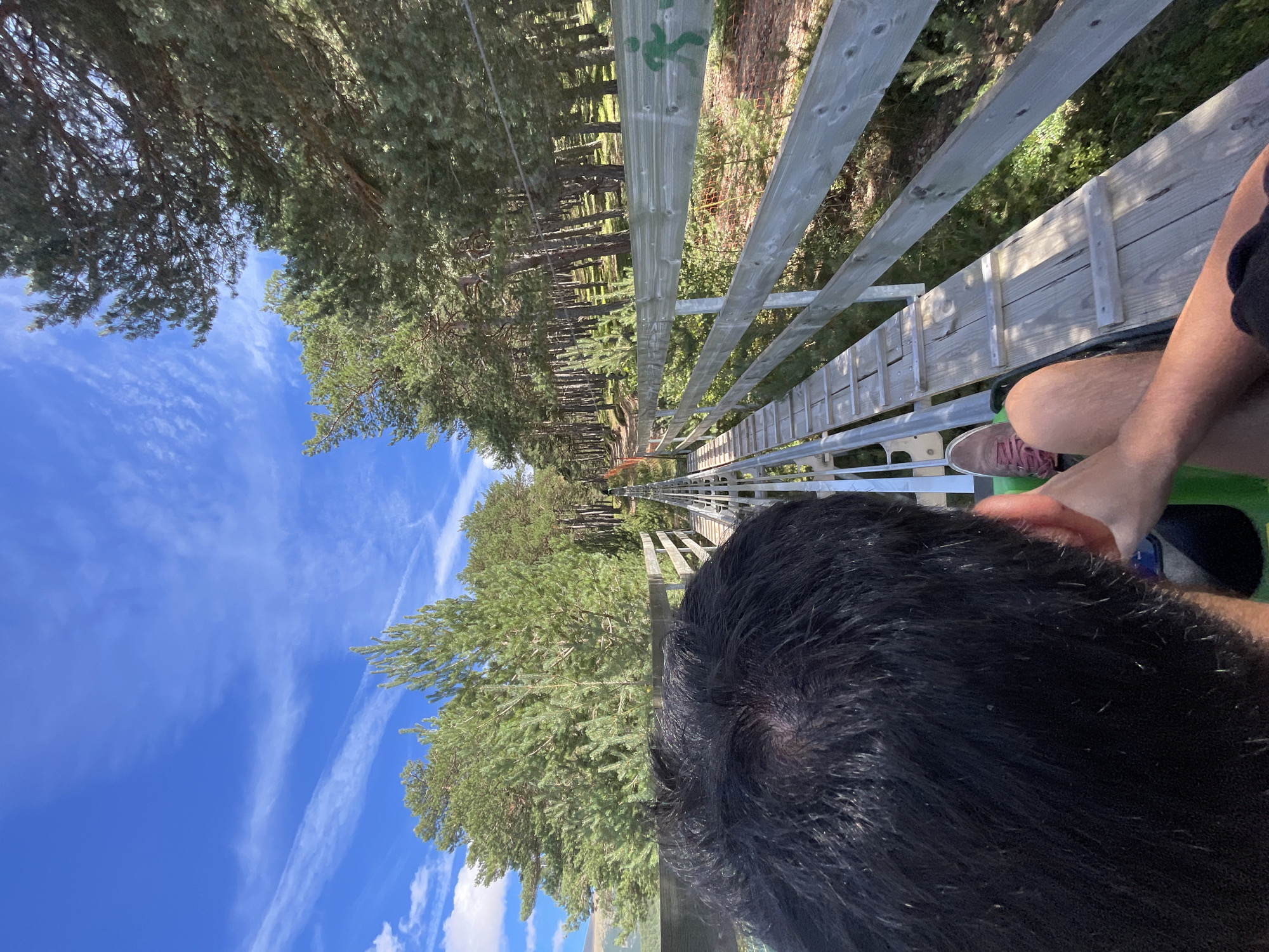 The image shows a first-person perspective of someone riding a luge track through a forest. The track is made of metal rails and wooden planks, and it is elevated by wooden posts. The person is wearing a pink shoe and a dark colored shirt, and their black hair is visible. The forest is dense with tall pine trees, and the sky is blue with some white clouds. The luge track appears to be located in the city of Juberri, Andorra, a mountainous region known for its outdoor activities. The overall scene suggests a fun and adventurous experience in a natural setting.