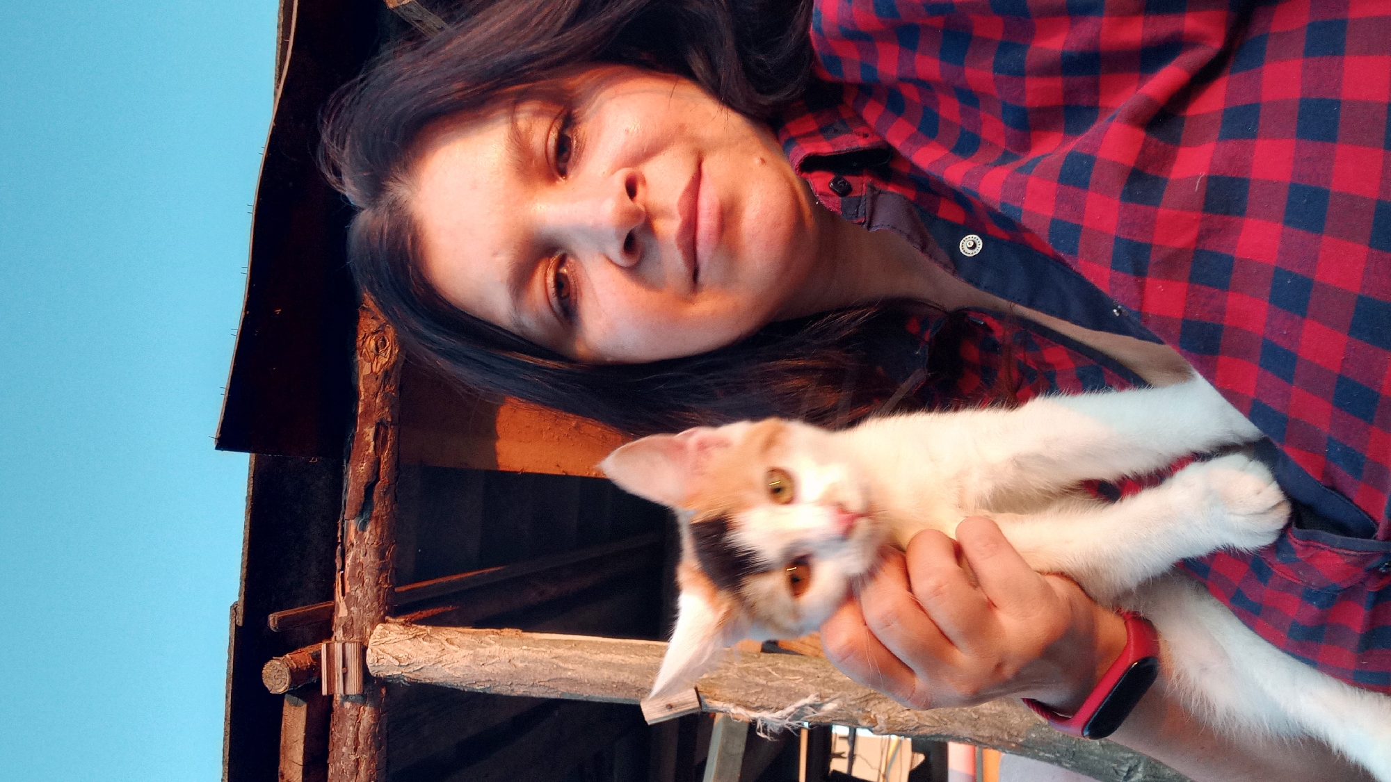 In this close-up, outdoor, selfie-style photograph, a woman with dark hair and medium skin tone is holding a calico kitten. The woman is wearing a red and blue plaid shirt. The kitten, primarily white with patches of orange and black, is held against her chest. The background suggests an outdoor rural or semi-rural setting, with wooden beams and poles of a structure visible, possibly an outbuilding or shelter, under a clear, light blue sky. The lighting indicates it is either early morning or late afternoon, casting a warm glow on the subjects and the environment. The woman appears to be looking towards the camera, and the kitten is also facing forward. The overall impression is a candid moment of connection between a woman and her pet.