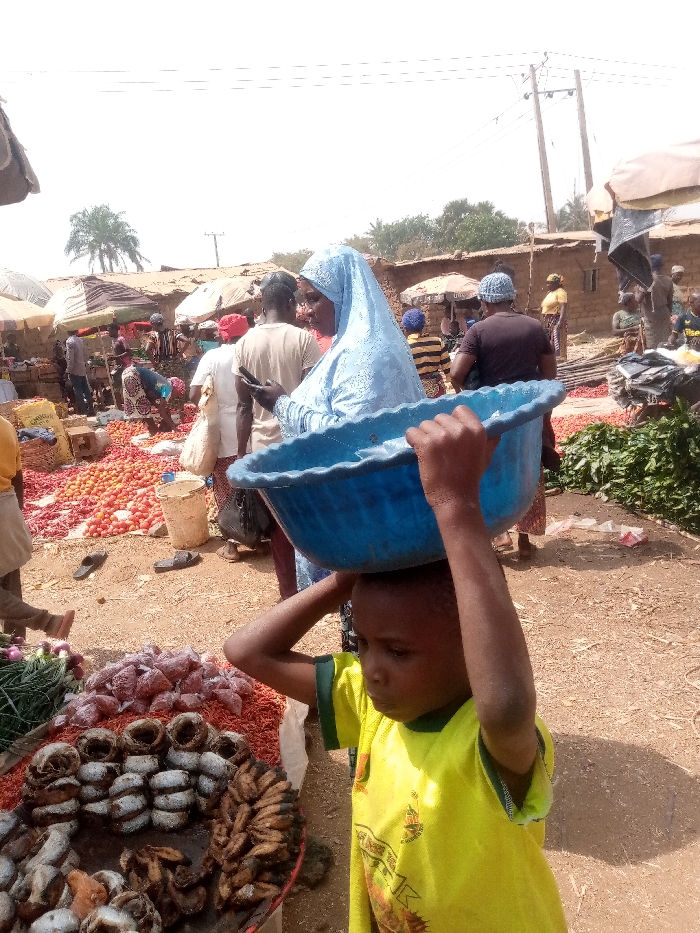 The image depicts a bustling outdoor market scene under bright daylight. The ground is unpaved, appearing dusty and worn, suggesting a rural or semi-urban setting.
In the foreground, slightly to the right, a young child, likely a boy, is seen from the chest up. He wears a bright yellow short-sleeved t-shirt with an unidentifiable graphic print. He is carrying a large, empty, blue plastic basin or bowl on his head, steadying it with both hands raised. His expression is neutral as he looks towards the lower left. To the left of the child, a market stall or display area is visible. On a tray or flat surface, various dried or smoked fish are arranged in neat stacks and rows. Behind these, small red items, possibly peppers, are packaged in clear plastic bags and placed on a reddish mat. Further to the left, green leafy vegetables are partially visible.
In the mid-ground, a crowd of people is moving and interacting within the market. A woman, central in this area, is dressed in a light blue long-sleeved dress and a matching light blue hijab or head covering. She is looking down at a smartphone she holds in her hands. Next to her, a man in a light-colored t-shirt also appears to be looking at his phone. Numerous other individuals, dressed in various casual and traditional attires, are visible throughout the mid-ground, some tending to goods, others walking. To the left, large piles of red produce, strongly resembling tomatoes, are spread out on the ground, with a white bucket placed nearby. To the right, piles of green leafy produce are also visible on the ground.
The background shows more market activity with several stalls covered by umbrellas or makeshift shelters. Simple, low-rise buildings, possibly made of mud or brick, are visible further back. Palm trees and other sparse vegetation can be seen, and utility poles with wires stand against the bright, clear sky.
The overall atmosphere is lively and active, characteristic of a busy market. The bright sunlight casts strong shadows, indicating midday or early afternoon. No discernible text is clearly visible in the image.