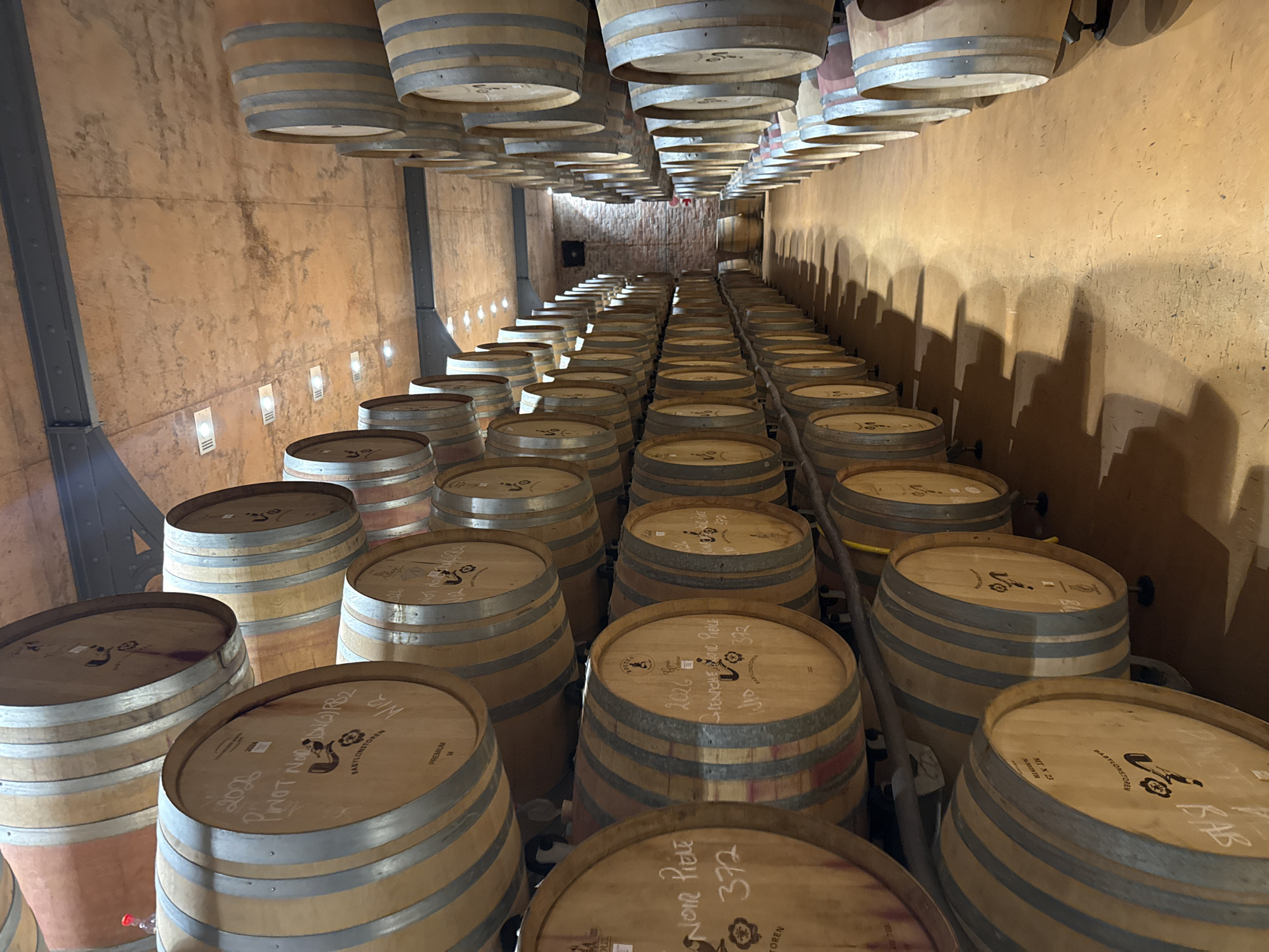 This image captures a long, well-organized wine cellar or aging room. Rows of wooden wine barrels dominate the scene, extending into the distance, creating a strong sense of depth and perspective. The room has a warm, earthy tone with textured walls, possibly concrete or plaster, featuring occasional recessed lights.
The barrels are arranged neatly in parallel rows on the floor, each made of light-colored wood with dark metal bands. Many barrels have writing on their tops in chalk or paint, indicating details about their contents. A unique architectural element is the series of barrels mounted upside down along the upper walls or ceiling, casting distinct, elongated shadows on the right wall, enhancing the visual rhythm of the space. Metal structural beams are visible along the left wall.
No people are present, emphasizing the quiet, contemplative nature of the wine aging process. The lighting appears artificial, providing a soft illumination that highlights the textures of the walls and the wood of the barrels.
Visible text on the barrel tops includes "BABYLONSTOREN" (a known wine estate), "PREMIUM," "NOIR PIELE," "GRENACHE ANGIE PIECE," "MTN 23," "372," "202," and a more complete "2023 PINOT NOIR (DN) BC R2" on one barrel, and "2022 CAB" on another, along with various other numbers and symbols used for identification. The setting is consistent with a wine cellar at Babylonstoren, located in Drakenstein Nu, South Africa.