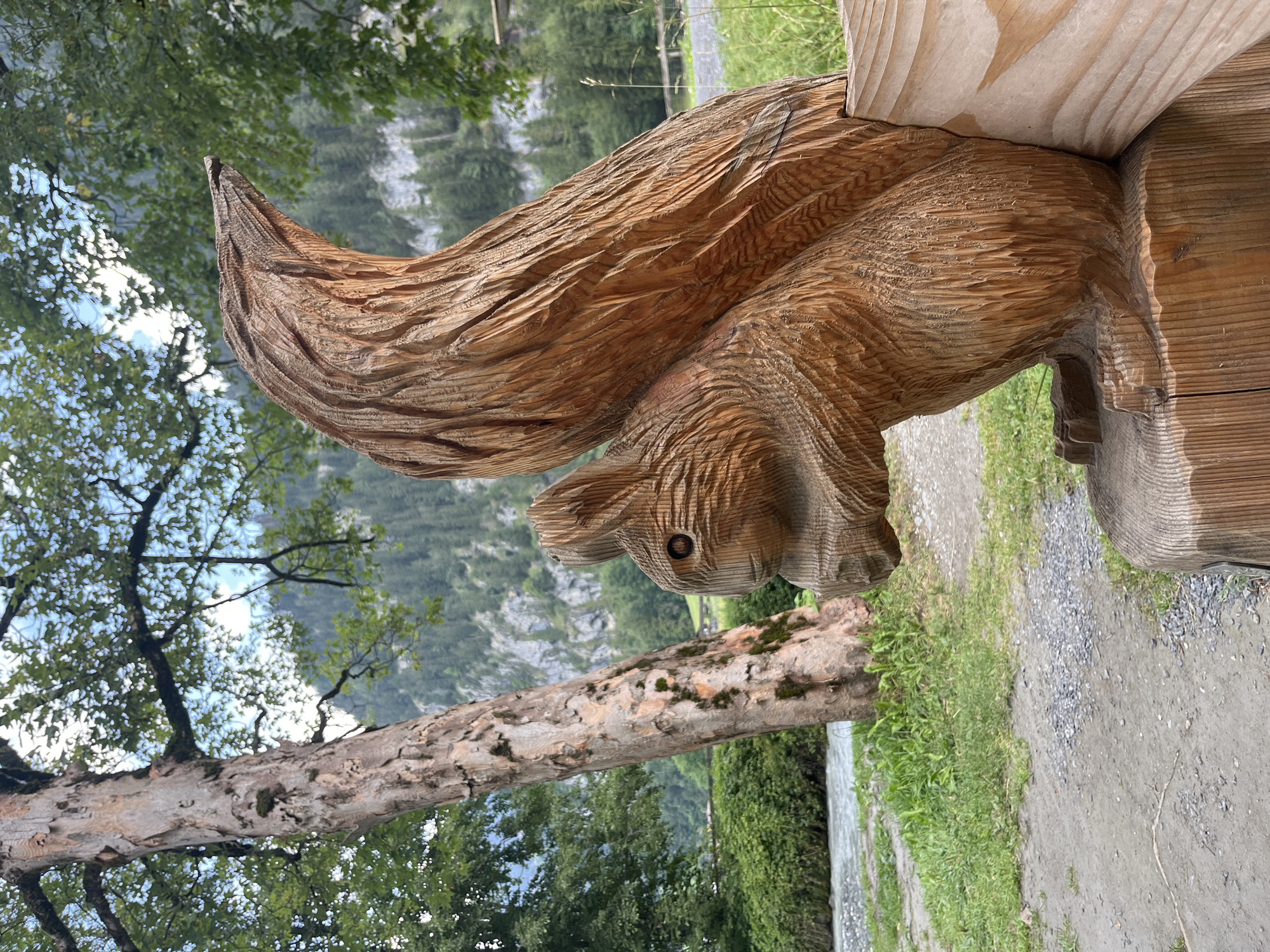 This is a vertical, close-up, eye-level shot of a wooden squirrel sculpture located in Wengen, Switzerland. The sculpture is positioned on the right side of the frame, carved from a light brown wood with visible grain and chisel marks, depicting a squirrel with its bushy tail curled over its back. The squirrel's head is turned to the left, with carved eyes and a mouth. The sculpture is mounted on a wooden base, which extends to the lower right corner of the image.
To the left of the sculpture is a large, textured tree trunk with peeling bark, its branches extending upwards and providing shade. In the background, a river flows to the left, bordered by lush green grass and vegetation. Beyond the river and vegetation, a steep, rocky mountain face covered with dark green trees rises to the sky. The sky above is partly cloudy with patches of blue. The overall environment suggests a natural, possibly park-like setting in the Swiss Alps. No people are visible in the image.