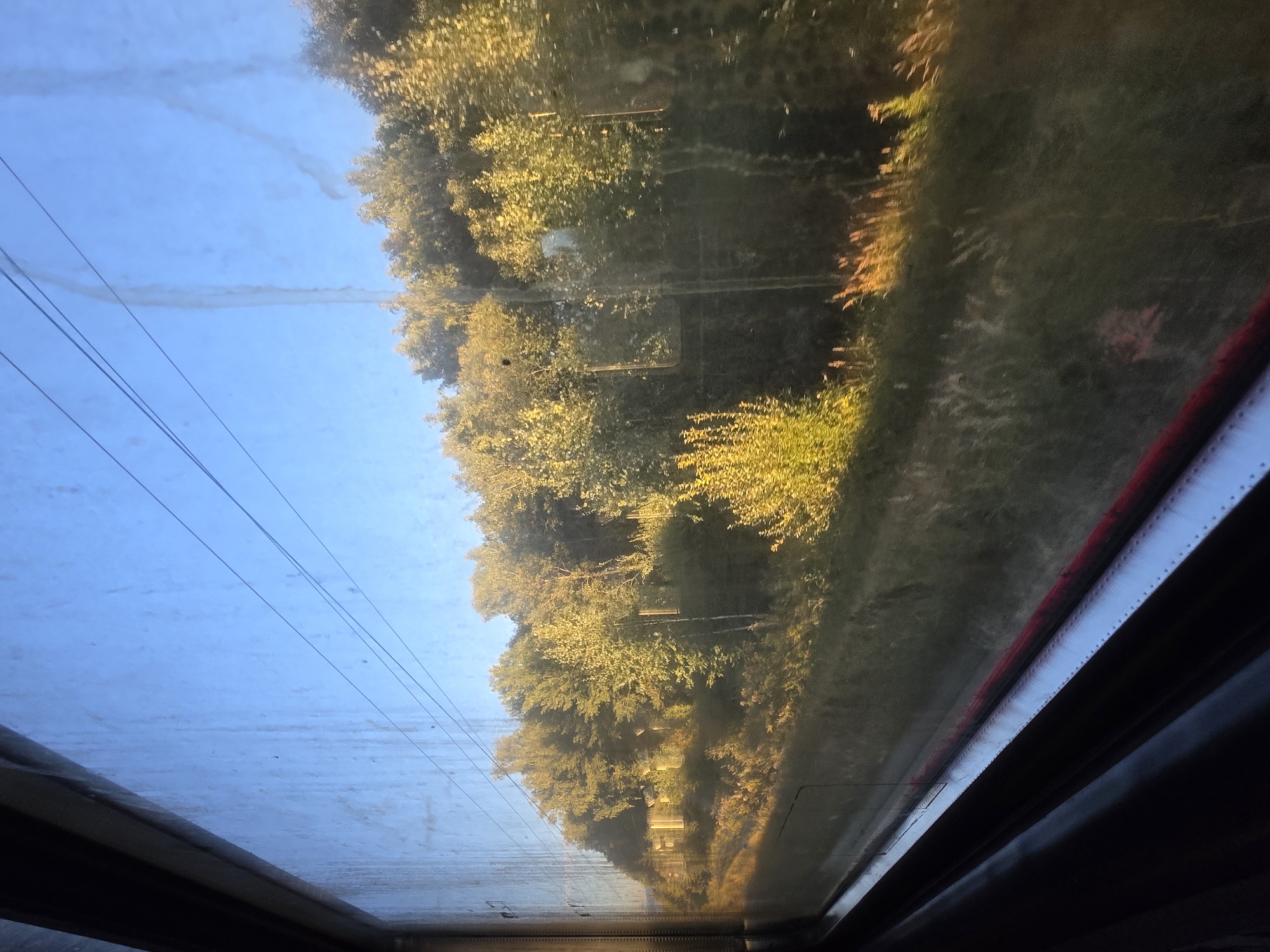 The image depicts a view from a train window looking out at a landscape. The window appears to be dirty with streaks and smudges. Outside, there is a clear blue sky with a few thin, dark overhead wires. A dense line of trees, illuminated by the golden light of what appears to be sunrise or sunset, borders a grassy embankment. Some of the trees are lighter in color, possibly due to the light, while others are darker. In the foreground, the window frame and a portion of the train's interior are visible, primarily dark in color. The landscape outside suggests a rural or semi-rural setting. The presence of overhead wires indicates a railway line. There are no people or specific landmarks visible that would allow for a precise identification of the location within Kosherovo, Russia.
