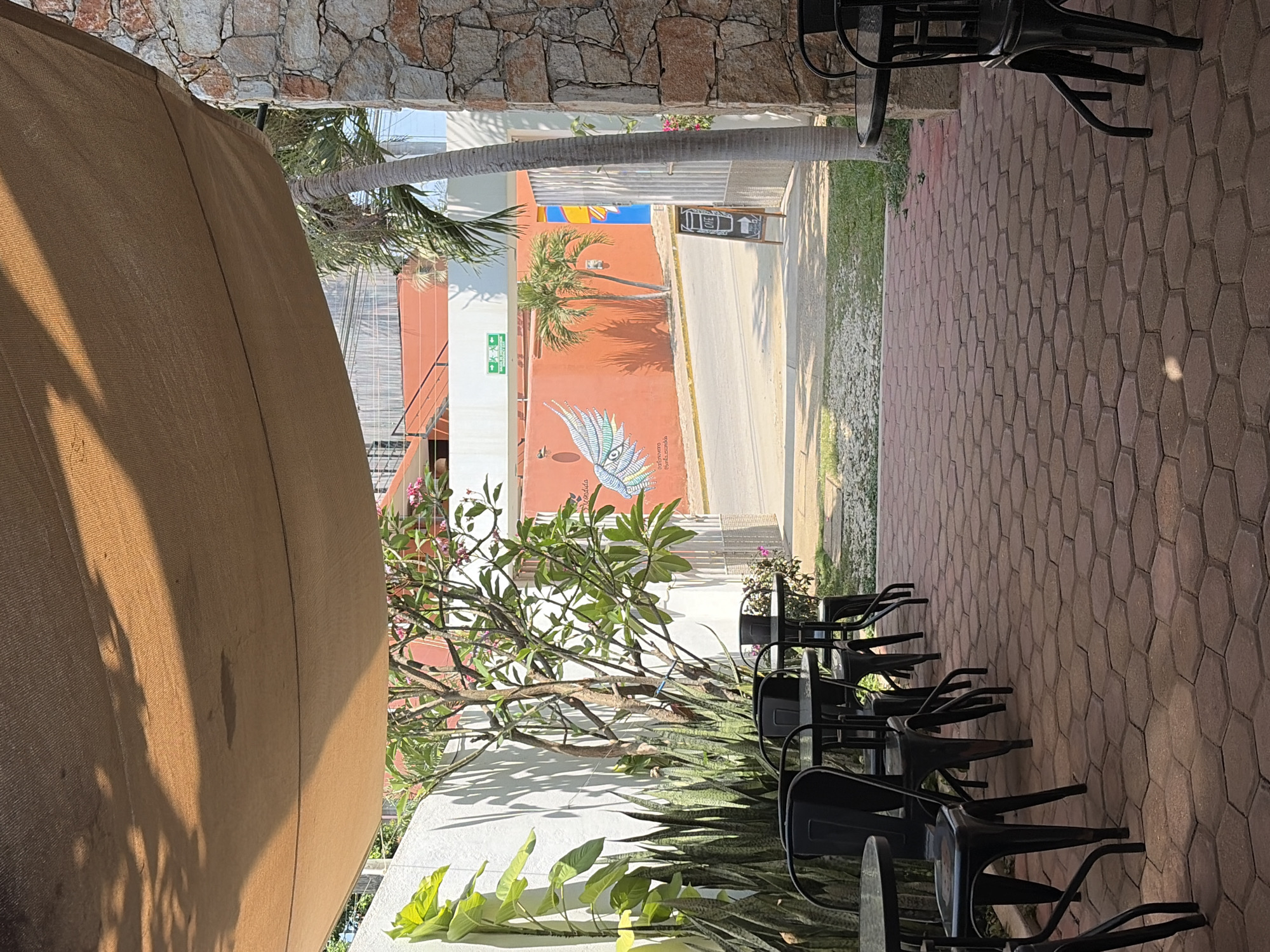 This outdoor scene in Brisas de Zicatela, Mexico, features a brick patio area with multiple black chairs and tables. A light brown canopy partially obscures the left side of the frame. Through the gap between buildings, a streetscape is visible, displaying colorful buildings, including an orange one with a wing mural. A palm tree stands nearby. Vegetation is present along the bottom edge and between the patio and the street. The environment suggests an outdoor dining or seating area of a cafe or restaurant.