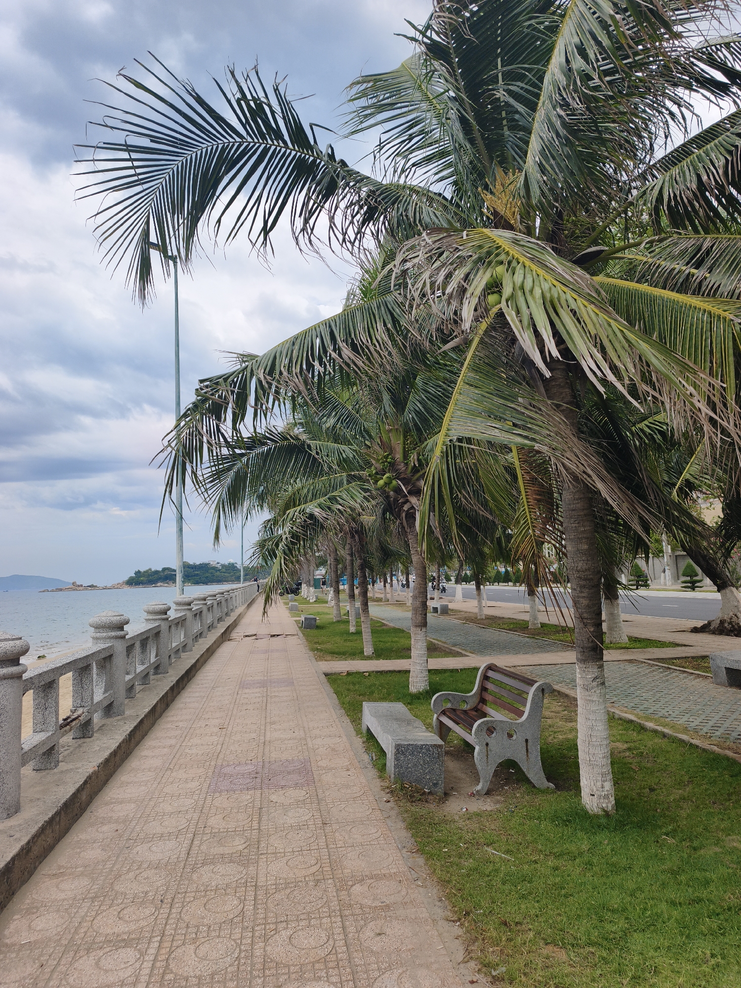 The image captures a pedestrian walkway lined with palm trees along the coast of Nha Trang, Vietnam. The walkway is paved with patterned tiles and separated from the beach by a stone balustrade. On the right side of the walkway, a grassy area with benches is visible. Further back, a road with a few parked motorcycles can be seen, bordered by more trees. In the distance, the ocean meets the horizon under a cloudy sky, with a rocky island visible on the left. The scene appears to be part of a public park or promenade, offering a scenic view of the coast.