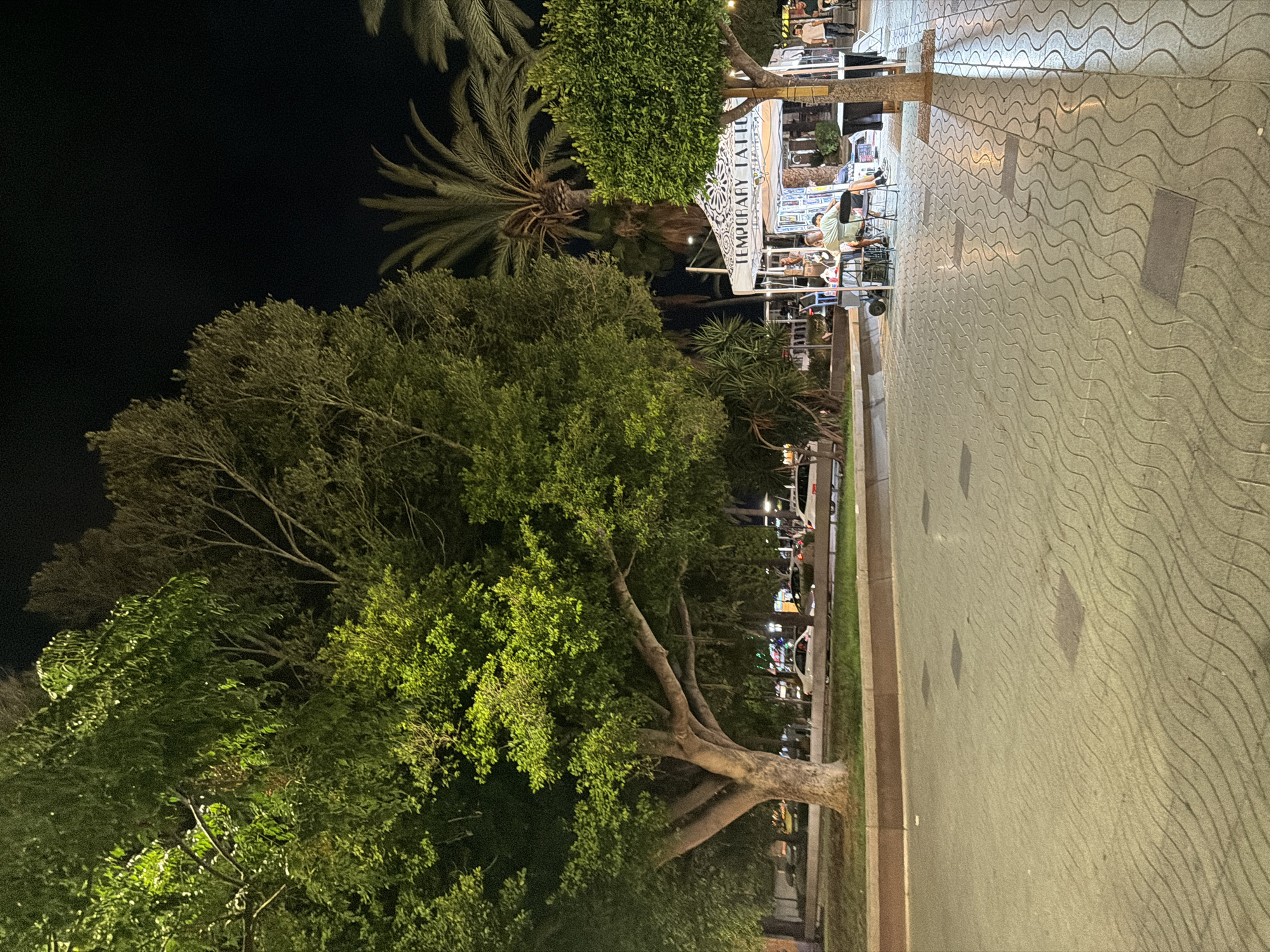 The image captures an outdoor scene at night in Sant Antoni De Portmany, Spain. A large, mature tree with a thick trunk and widespread branches dominates the left side of the frame, its leaves illuminated by artificial light. To the right of the tree, a white tent with the words "TEMPORARY TATTOO" visible on its side is set up. Several people are visible around the tent, with one individual seated at a table, appearing to be engaged in conversation or activity. Behind the tent, palm trees and other vegetation are present, silhouetted against the dark night sky. The ground in the foreground is paved with a patterned surface, reflecting some of the ambient light. In the background, streetlights and the lights of passing cars are visible, suggesting an urban environment.