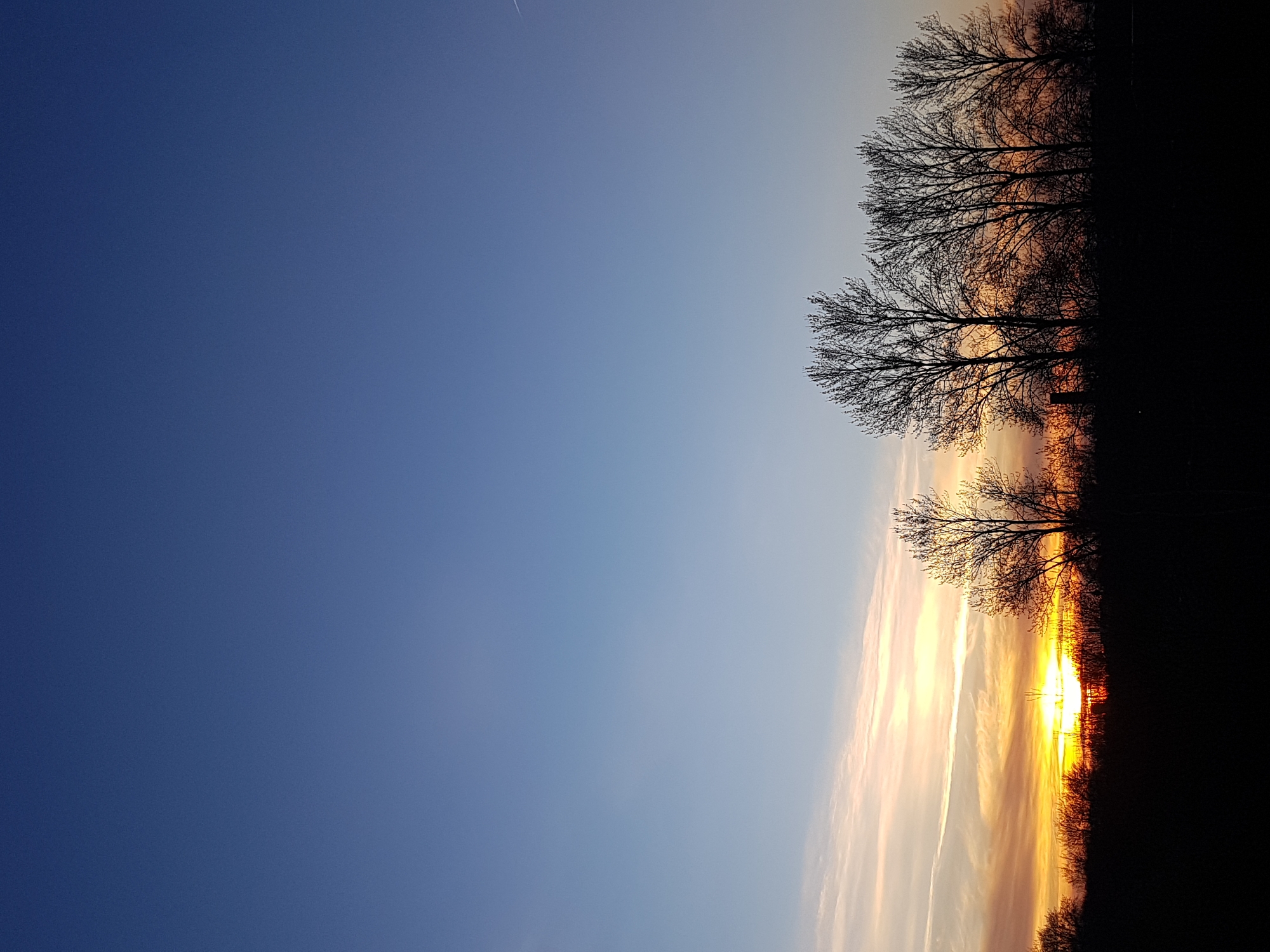 The image shows a sunset scene, with the sky transitioning from a deep blue to a light orange-yellow gradient where the sun is setting. Silhouetted trees are visible against the sunset. The exact location in Saint Petersburg, Russia cannot be determined from this image.