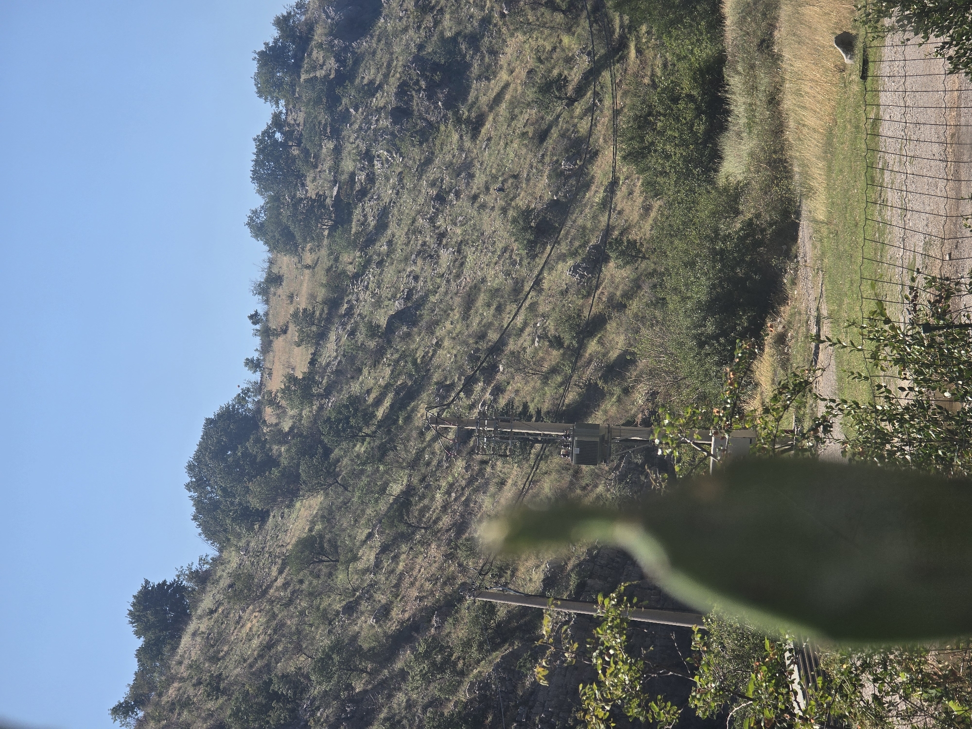 A natural landscape is depicted under a clear blue sky. The foreground is partially obscured by a large, out-of-focus green leaf, likely from a succulent plant. To the left, a wooden fence encloses an area with dry grass and some scattered green vegetation. A light-colored object, possibly a rock or a small animal, rests on the grass in the middle ground. In the background, a steep, rocky hillside is covered with sparse dry grass, scattered bushes, and a few trees. Power lines run diagonally across the hillside, supported by utility poles. One pole, closer to the viewer, has a transformer attached. The overall scene suggests a rural or undeveloped area.