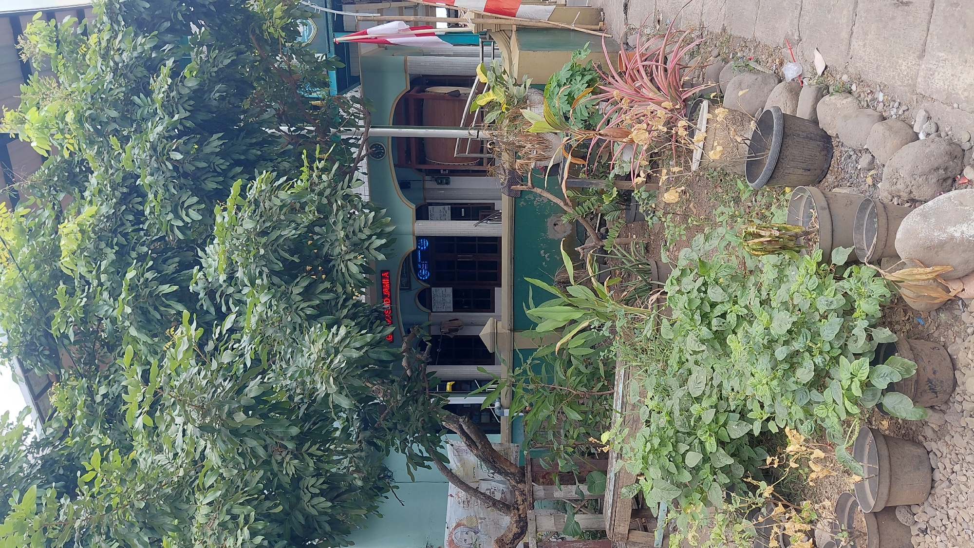 A medium shot captures a light blue building with arched doorways and windows, likely a mosque, as indicated by the red neon sign above that reads "G. MASJID JAMIA" and the Indonesian flags flying to the right. The building is situated in Pasir Kidul, Indonesia. The foreground is filled with lush greenery and potted plants, some healthy and vibrant, others dry and withered, suggesting a mixed state of care. A gnarled tree with dense foliage extends over the building from the left. The ground is a mix of gravel and stone. The scene appears to be an exterior view of a public building and its surrounding garden area.