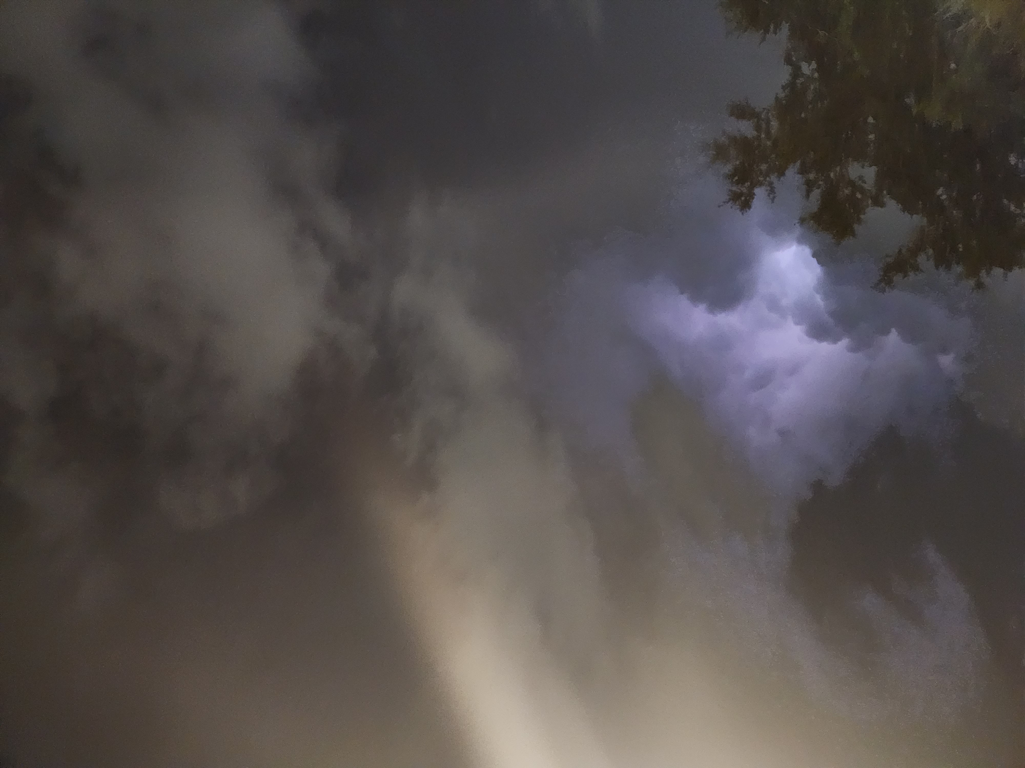 A dramatic nighttime photo captures a powerful lightning strike illuminating a stormy sky over Altamonte Springs, United States of America. The jagged bolt of lightning, a brilliant white and purple against the dark, turbulent clouds, is the focal point of the image. The clouds themselves are dense and ominous, with lighter patches suggesting the diffused glow of distant artificial lights or other lightning flashes. In the lower right quadrant, the dark silhouette of a tree with sparse foliage is visible, its branches reaching towards the stormy sky. The overall impression is one of raw, untamed natural power against a backdrop of urban darkness.