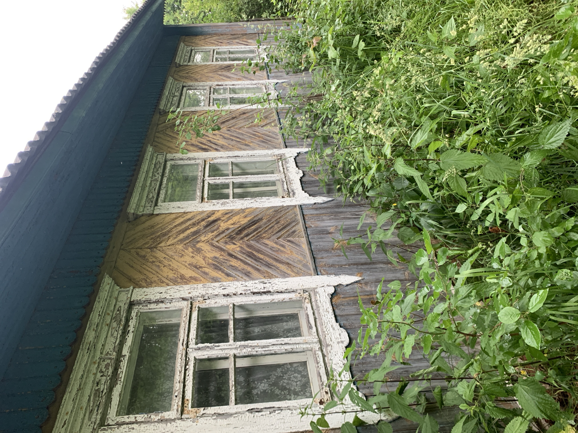 The image displays the exterior of an old, weathered wooden house in Блеўчыцкі сельскі Савет, Belarus. The house has a teal-colored roof and trim, with the main facade painted in alternating bands of yellow and grey wooden planks arranged in a chevron pattern. Several windows with white, peeling paint frames and multi-paned glass are visible. The lower portion of the house is clad in grey wooden planks. The area in front of the house is overgrown with lush green vegetation, including tall grasses, nettles, and other plants, obscuring the base of the structure. The scene suggests an abandoned or neglected rural property. There are no people or animals visible in the image.