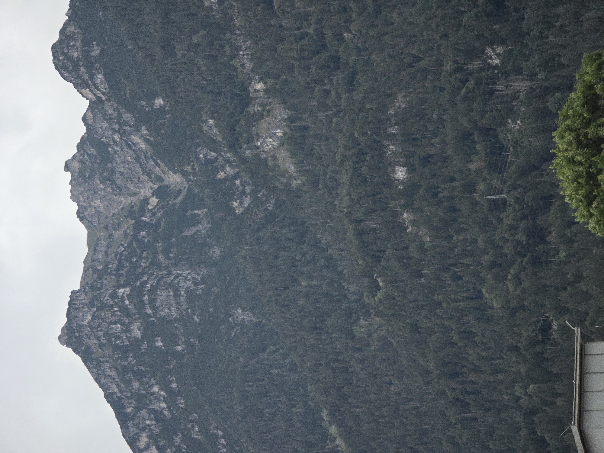 The image shows a mountain range covered in dense evergreen trees. The lower part of the image features a building with a flat roof and a portion of a bright green tree. A transmission tower is visible on the mountainside. The mountain peak in the upper left has a cross on it. This scene is the Zugspitze mountain, the highest peak in Germany, located near Garmisch-Partenkirchen.