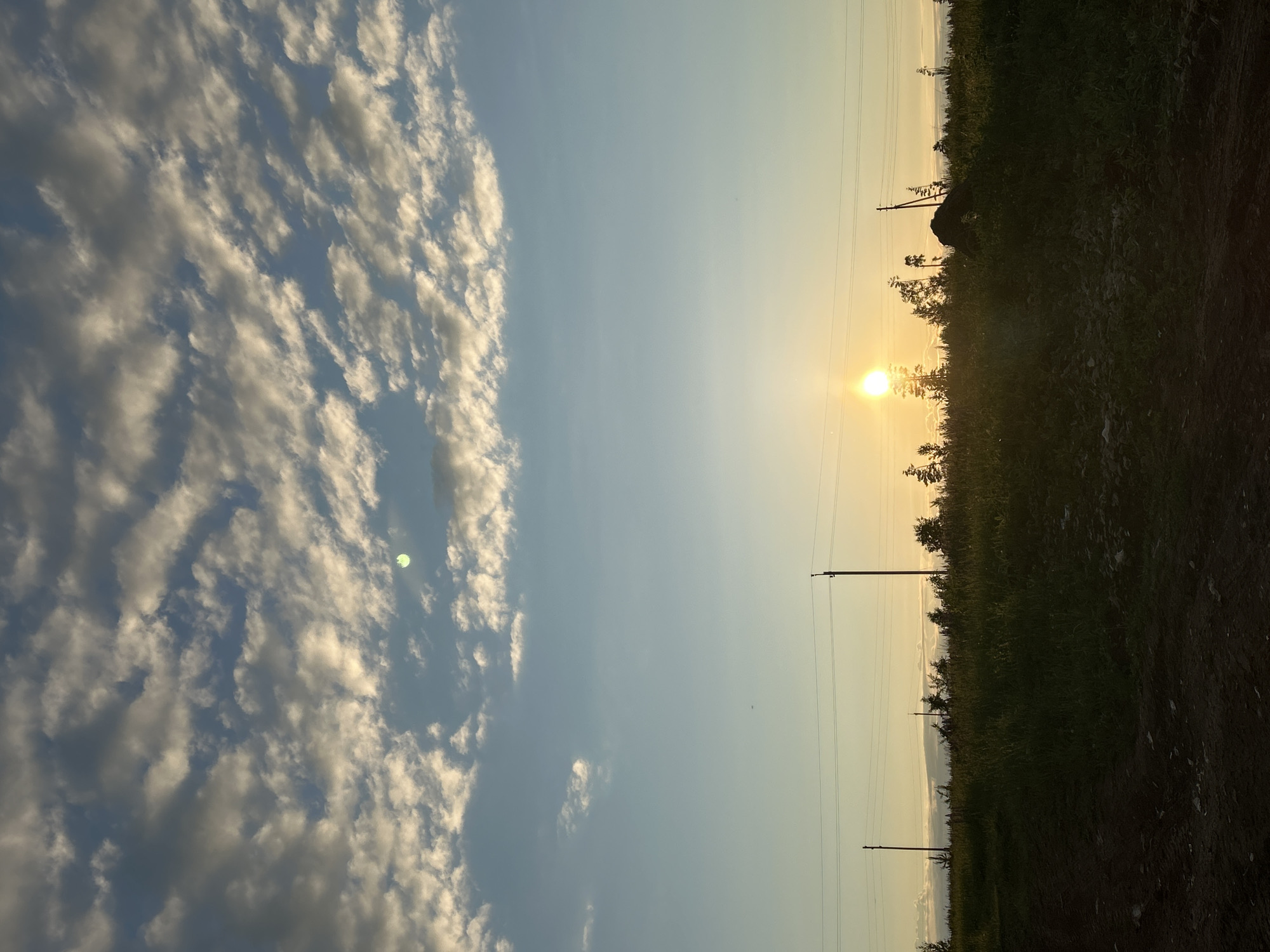 This image, when viewed in landscape orientation, captures a serene outdoor scene at either sunrise or sunset in Foki, Russia. The sky dominates the upper two-thirds of the frame, displaying a gradient from a soft, clear blue on the right to a slightly deeper blue on the left. The right side of the sky is illuminated by the bright, golden orb of the sun, which is low on the horizon, casting a warm, yellowish glow. Across the left side of the sky, numerous fluffy, elongated clouds, primarily white and light grey, are scattered, suggesting fair weather with some atmospheric moisture. A circular lens flare or sun reflection is visible within the cloud formation on the far left.
The lower third of the image consists of a horizontal strip of land covered in dark green vegetation, likely tall grasses and shrubs, indicating a rural or undeveloped area. The ground appears somewhat uneven, with darker patches that could be dirt or shadow. Extending vertically from this ground into the sunlit sky on the right are several slender utility poles, with faint power lines strung between them. The overall impression is one of peaceful natural beauty, characterized by the expansive sky and the warm, golden light of the sun low on the horizon. There are no people, explicit activities, or visible text in the image.