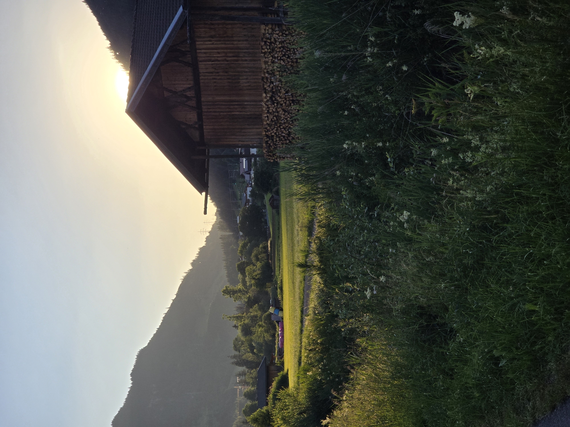 The image captures a serene rural scene at dusk in Lermoos, Austria. A wooden barn with a dark roof stands prominently on the right, its side piled high with neatly stacked firewood. In front of the barn, tall green grasses and vegetation create a natural border. Beyond the barn, a sunlit meadow stretches out, dotted with scattered trees and a small building on the left. In the background, rolling hills, some covered in trees, form a majestic backdrop. The setting sun casts a warm, golden glow across the sky and illuminates the landscape, highlighting the gentle slopes of the mountains and the tranquil atmosphere of the Austrian countryside.