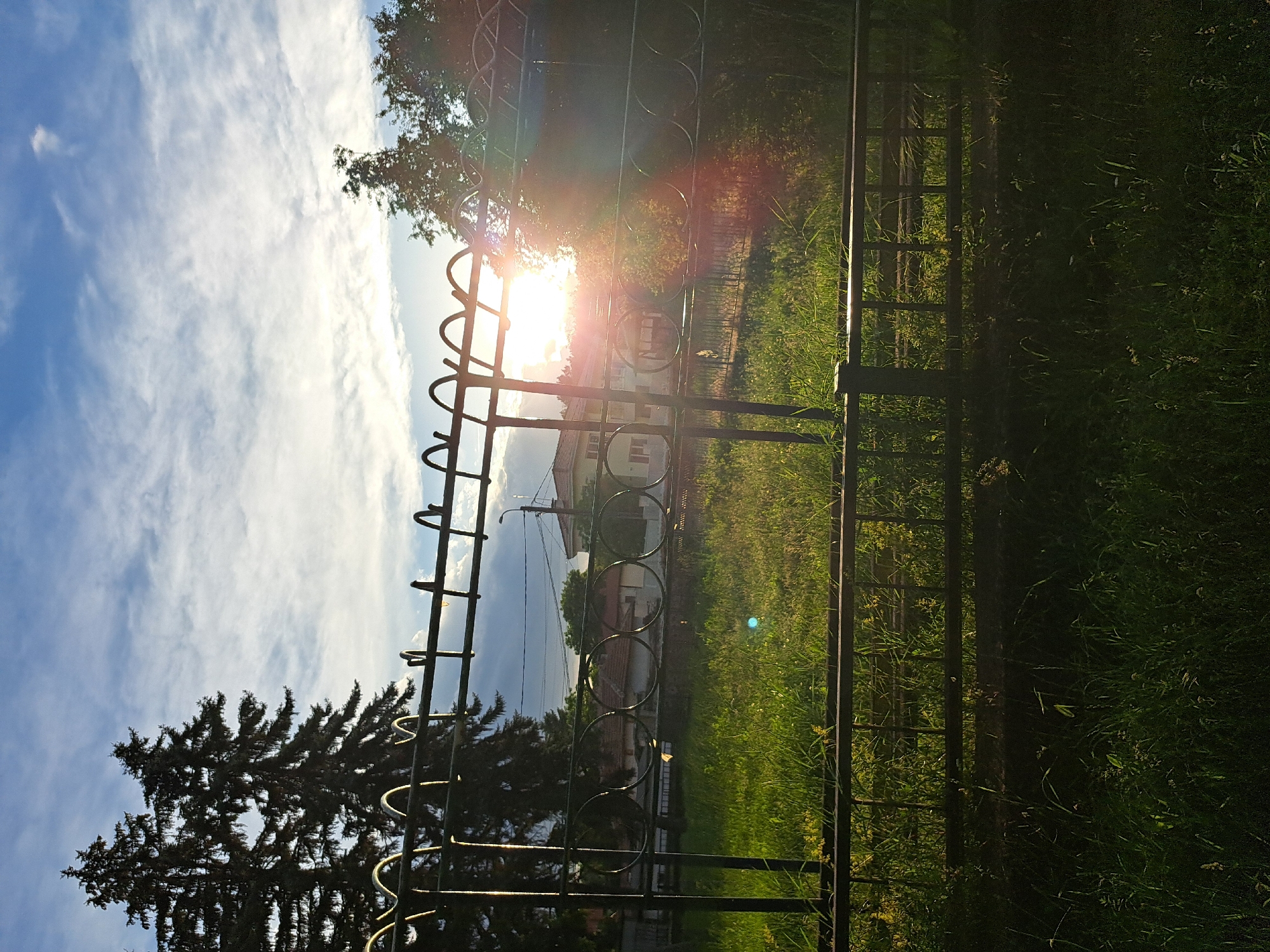 The image depicts a backyard or park area in Lokorsko, Bulgaria, during golden hour. A decorative black metal fence with a repeating circular pattern and curved finials runs horizontally across the foreground, partially obscuring a grassy area. Behind the fence, tall evergreen trees are silhouetted against a bright sky with scattered clouds. The sun is low in the sky, creating a lens flare and casting a warm glow over the scene. In the middle ground, a few buildings with tiled roofs are visible, along with a streetlamp. The grass is green and appears to be slightly overgrown in places, with some small yellow wildflowers present. The overall atmosphere is serene and peaceful, with the setting sun illuminating the landscape.