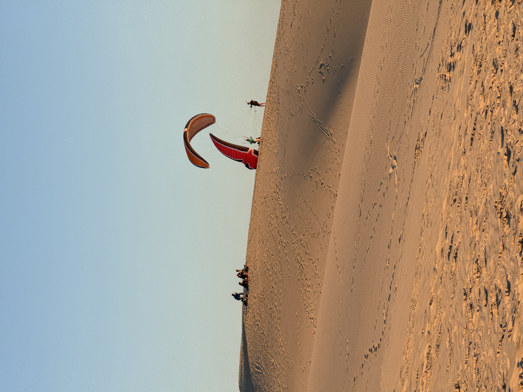 In the sand dunes of Lège-Cap-Ferret, France, at what appears to be dusk, several people are engaged in the activity of paragliding. Two large, colorful paragliders are visible, one partially inflated and leaning against a dune, the other in the air. One paraglider, predominantly red, has a person harnessed to it, preparing for flight. Another paraglider, orange and black, is higher in the sky. In the background, a group of individuals are seated or standing on a sand dune. The landscape is characterized by rolling sand dunes with subtle footprints and ripples, indicative of wind activity. The sky is a clear, soft blue, transitioning to a lighter hue near the horizon.