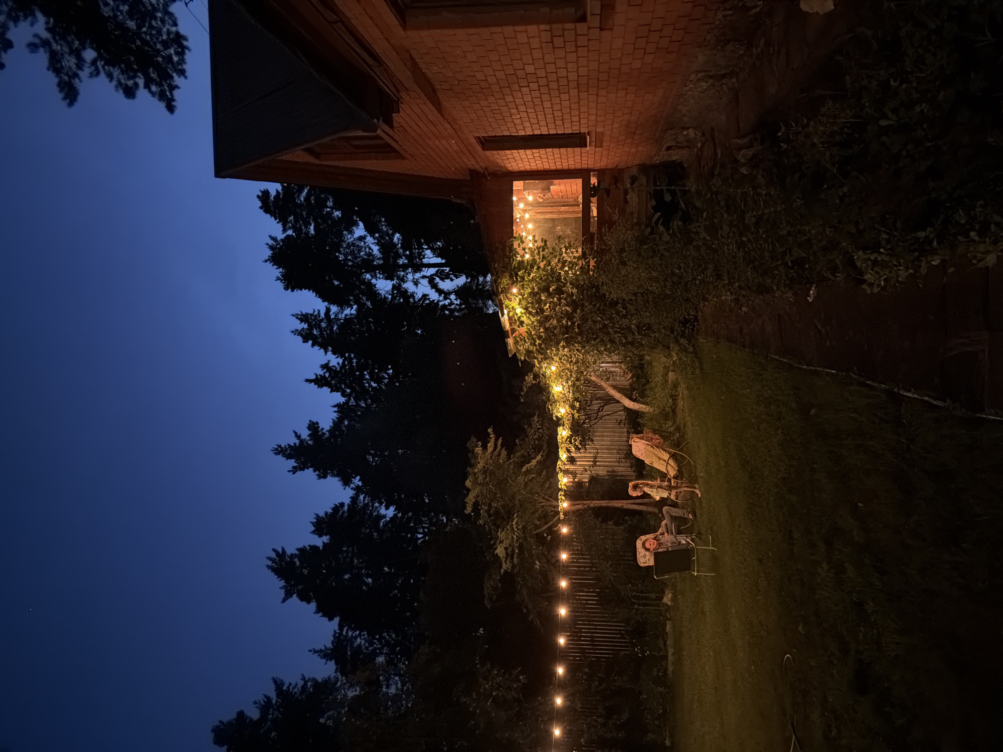 In the city of Udelnaya, Russia, at dusk, a brick house with a dark roof stands on the right side of the frame. The house's facade is illuminated by warm light emanating from its windows, which are visible through a covered porch area adorned with string lights. To the left of the house, a backyard is visible, featuring a patch of green grass. A wooden fence stretches across the backyard, also decorated with a string of lights. Two people are seated in lounge chairs on the grass, facing each other. One person, dressed in casual attire, is reclined in a chair, while the other, a child, stands beside a separate lounge chair. The background is dominated by a dense forest of pine trees, silhouetted against the deep blue twilight sky.